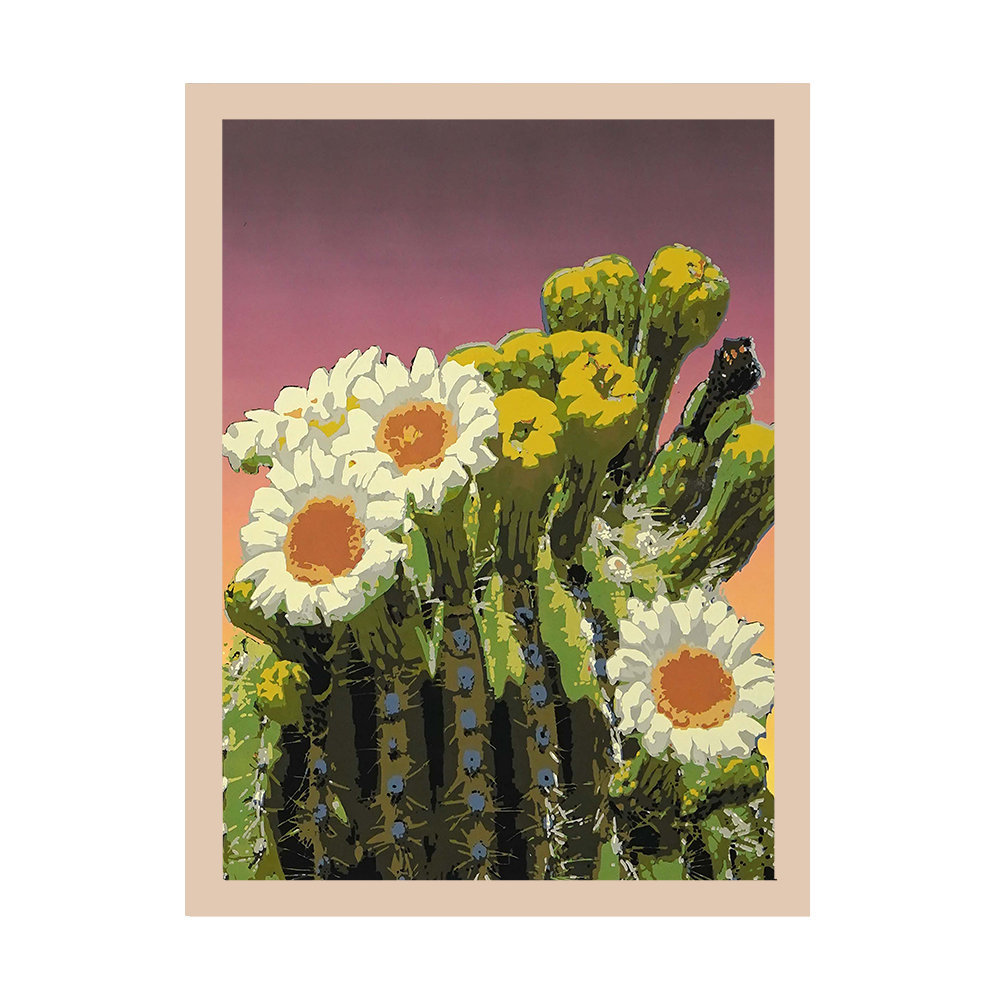 Saguaro Blossom.png