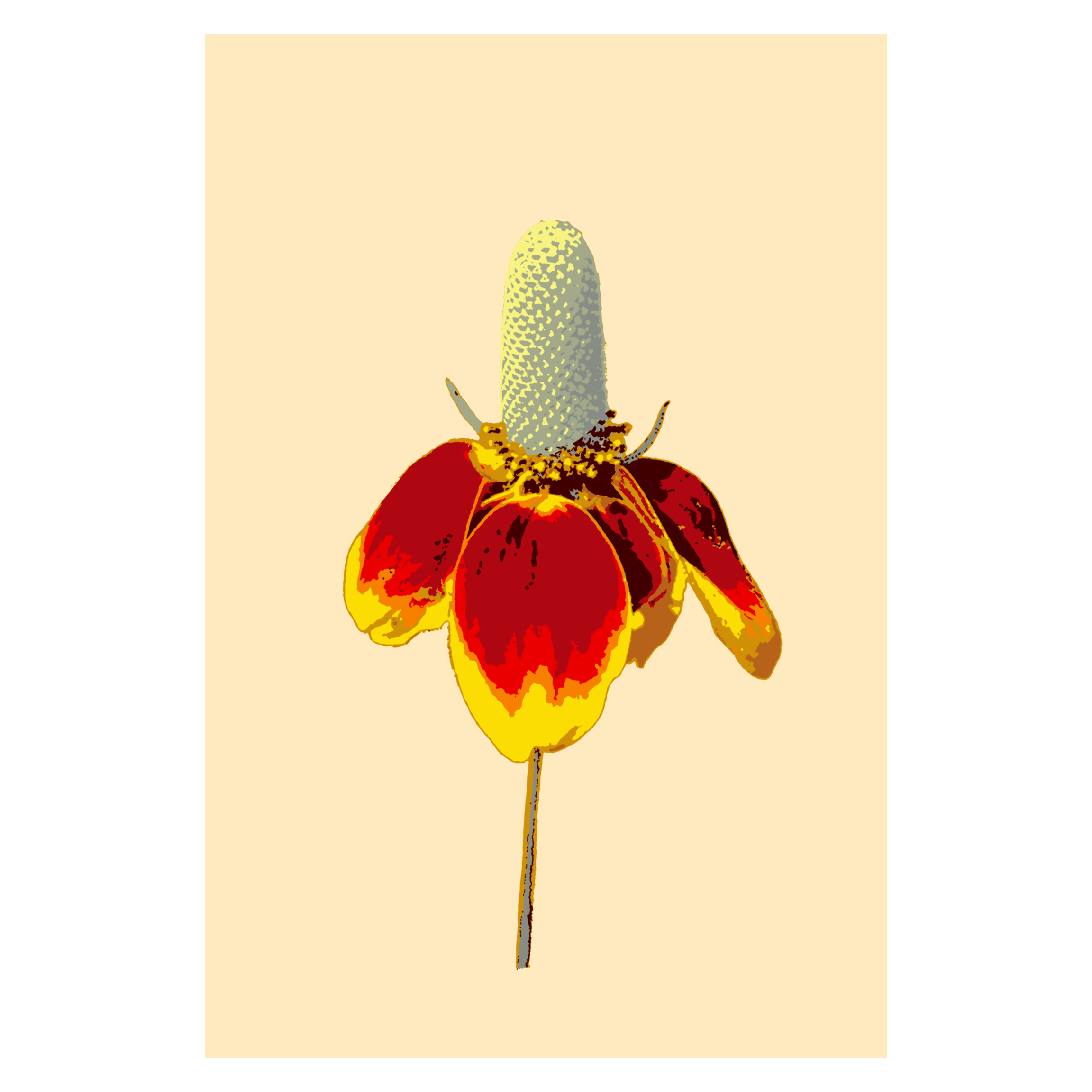 Mexican Hat_20x30.png