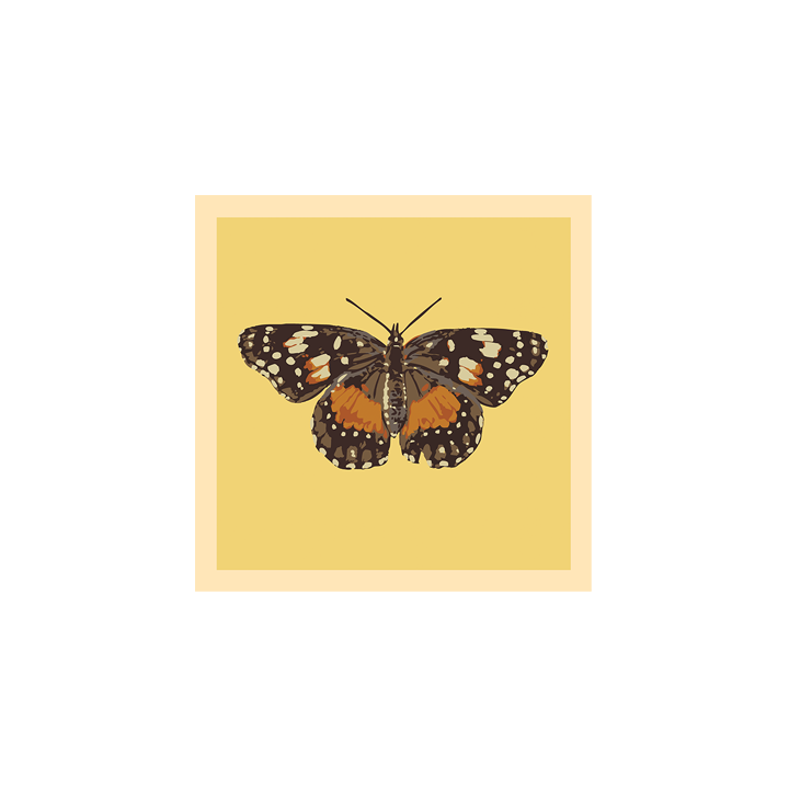 Borderpatch_web 2.png