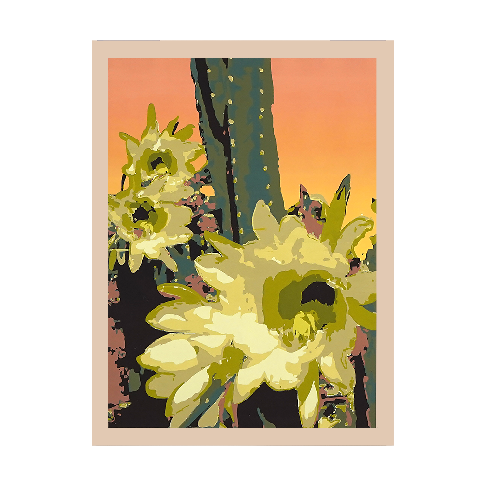 San Pedro Blossom.png