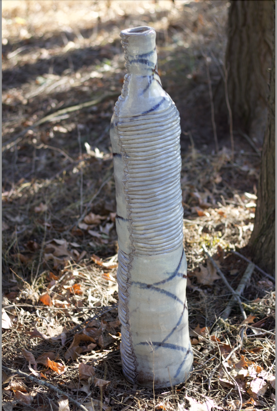 birch