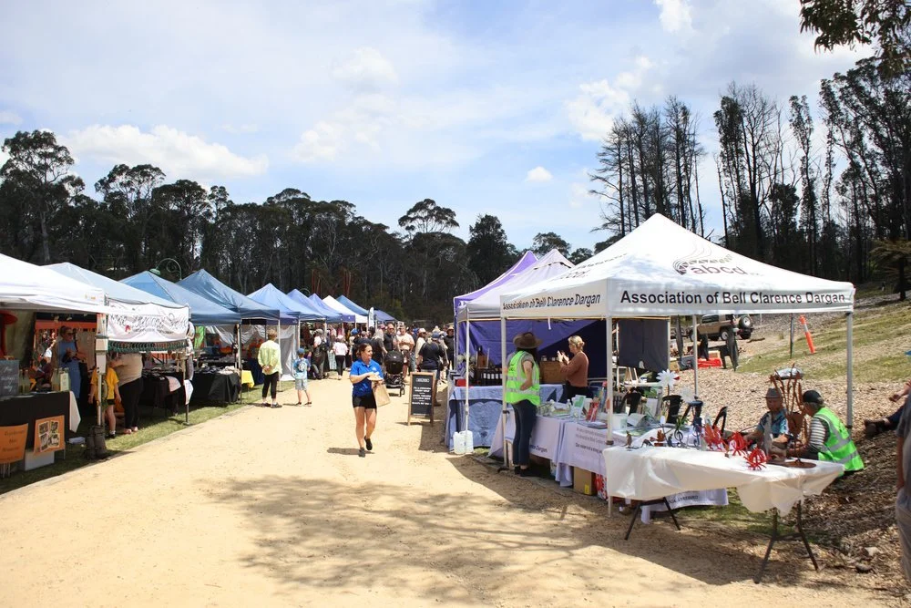 ABCDinc and Zig Zag Railway join forces to attract large crowds to Clarence