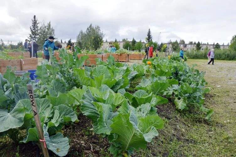 Interfaith mini-grants promote food security