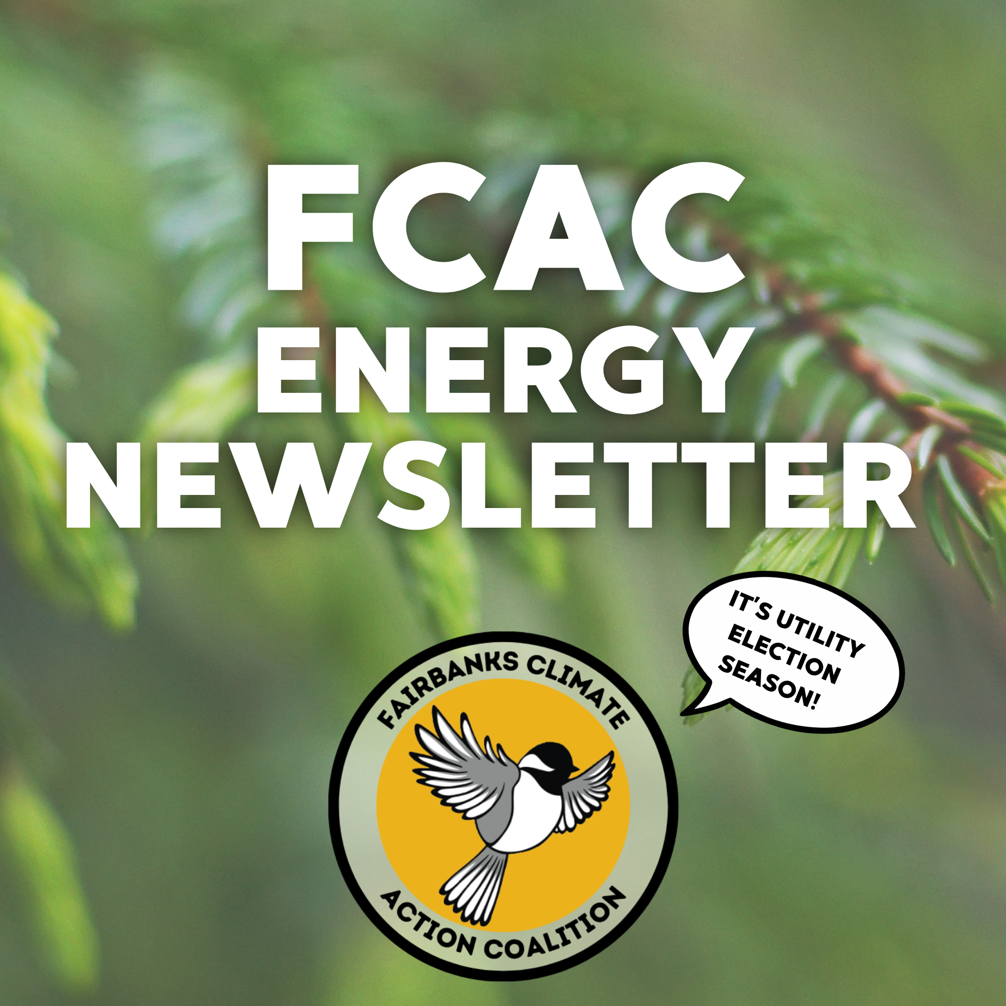 Your May Energy Updates from FCAC