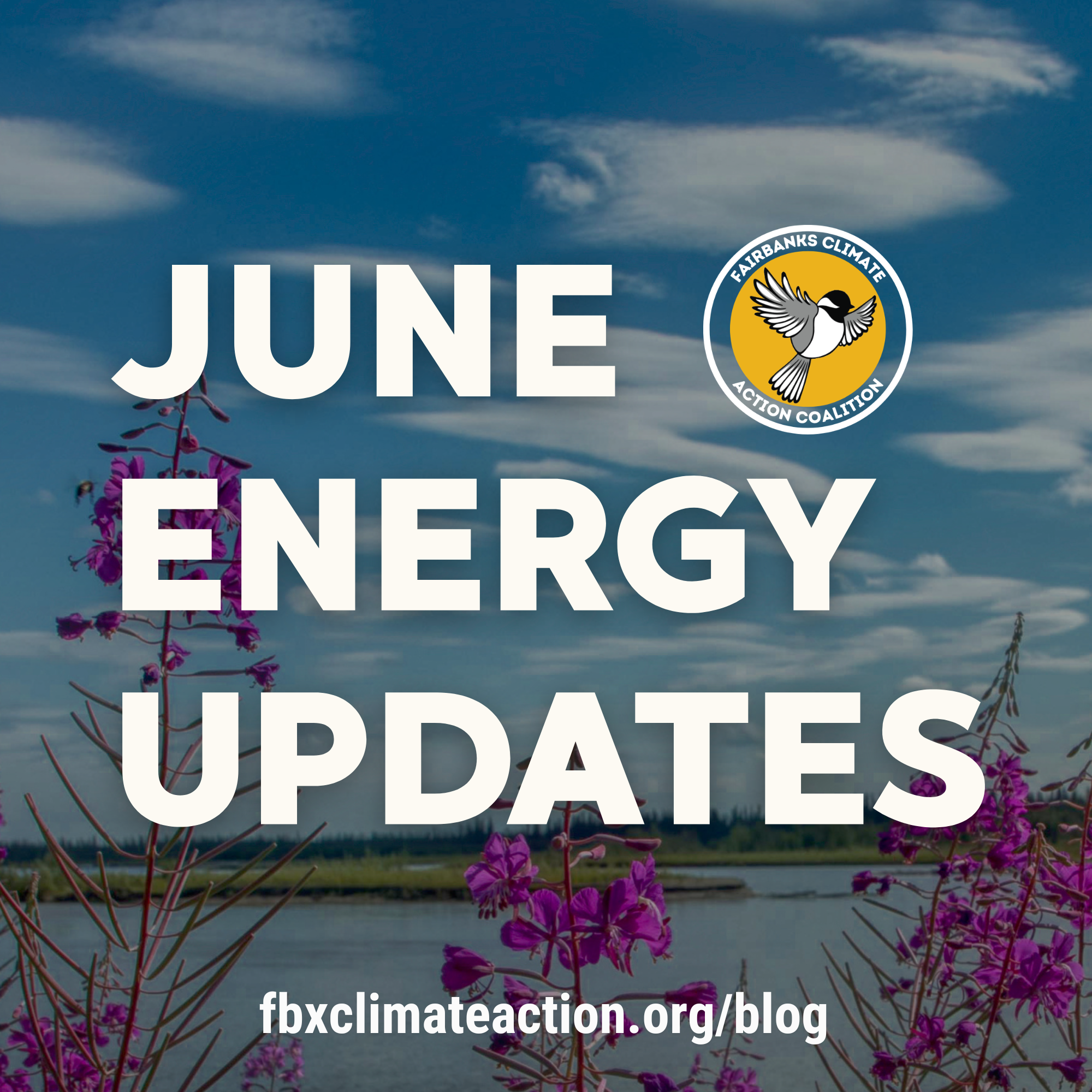 June energy updates