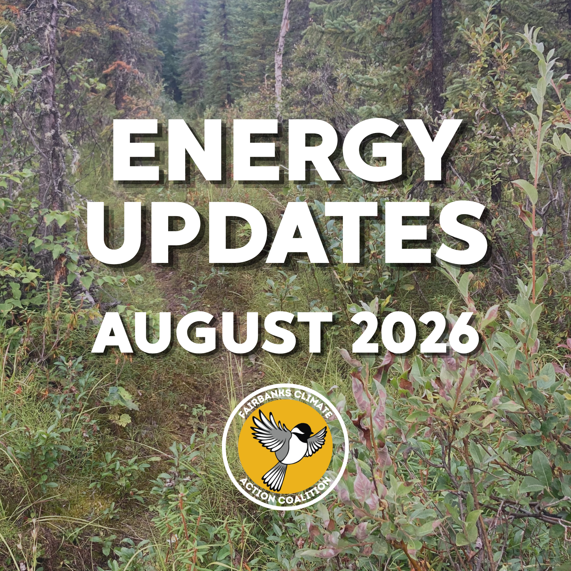 Energy Updates: August 2026