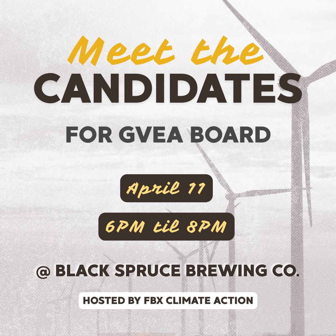 meet the gvea candidates april 11