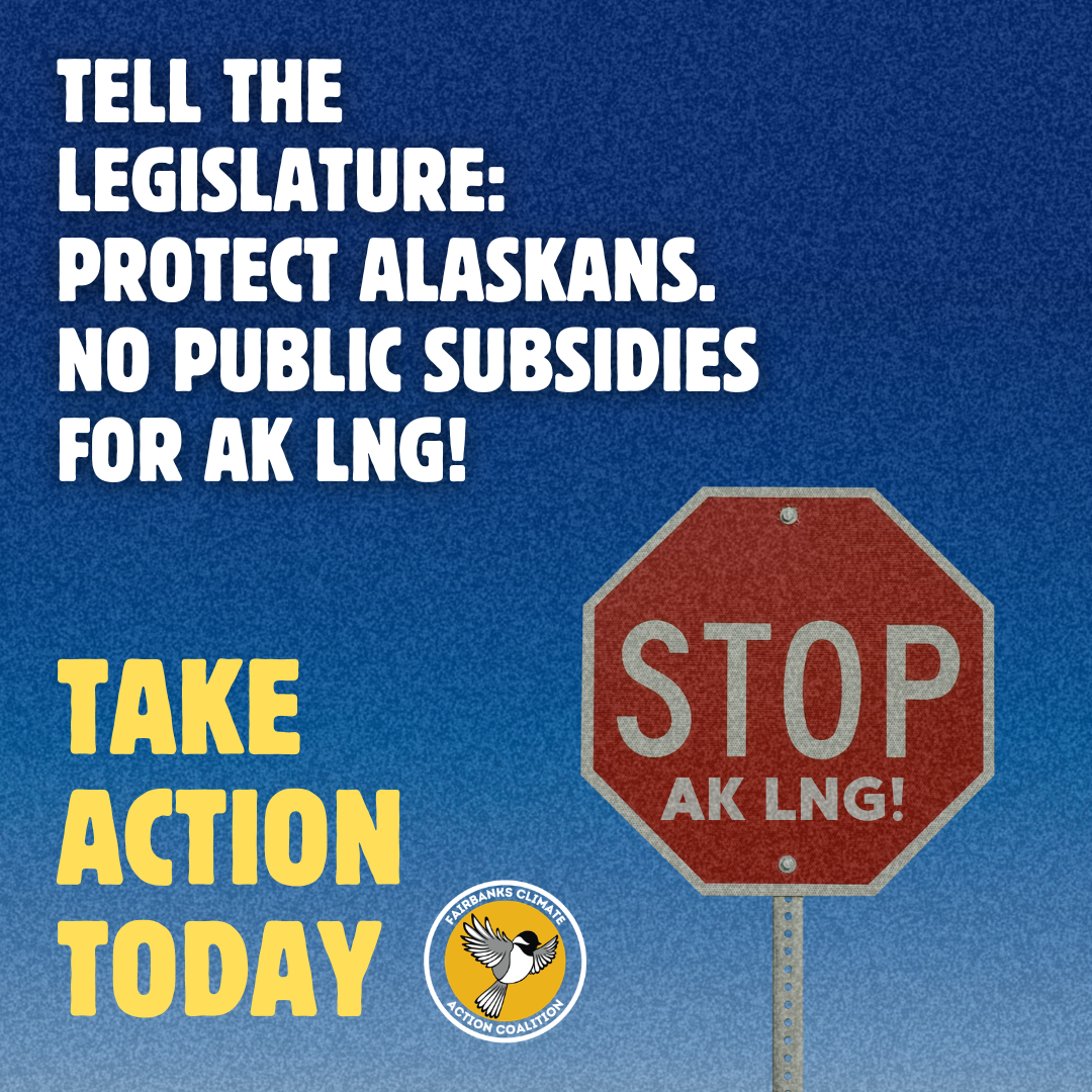 take action today: no ak LNG