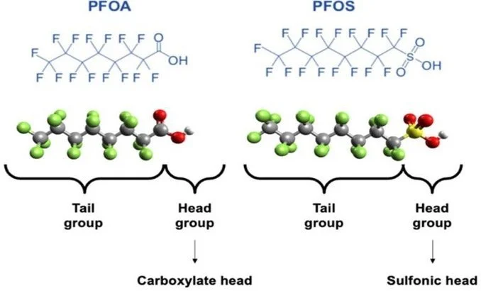 PFAS and Our Educational Portfolio