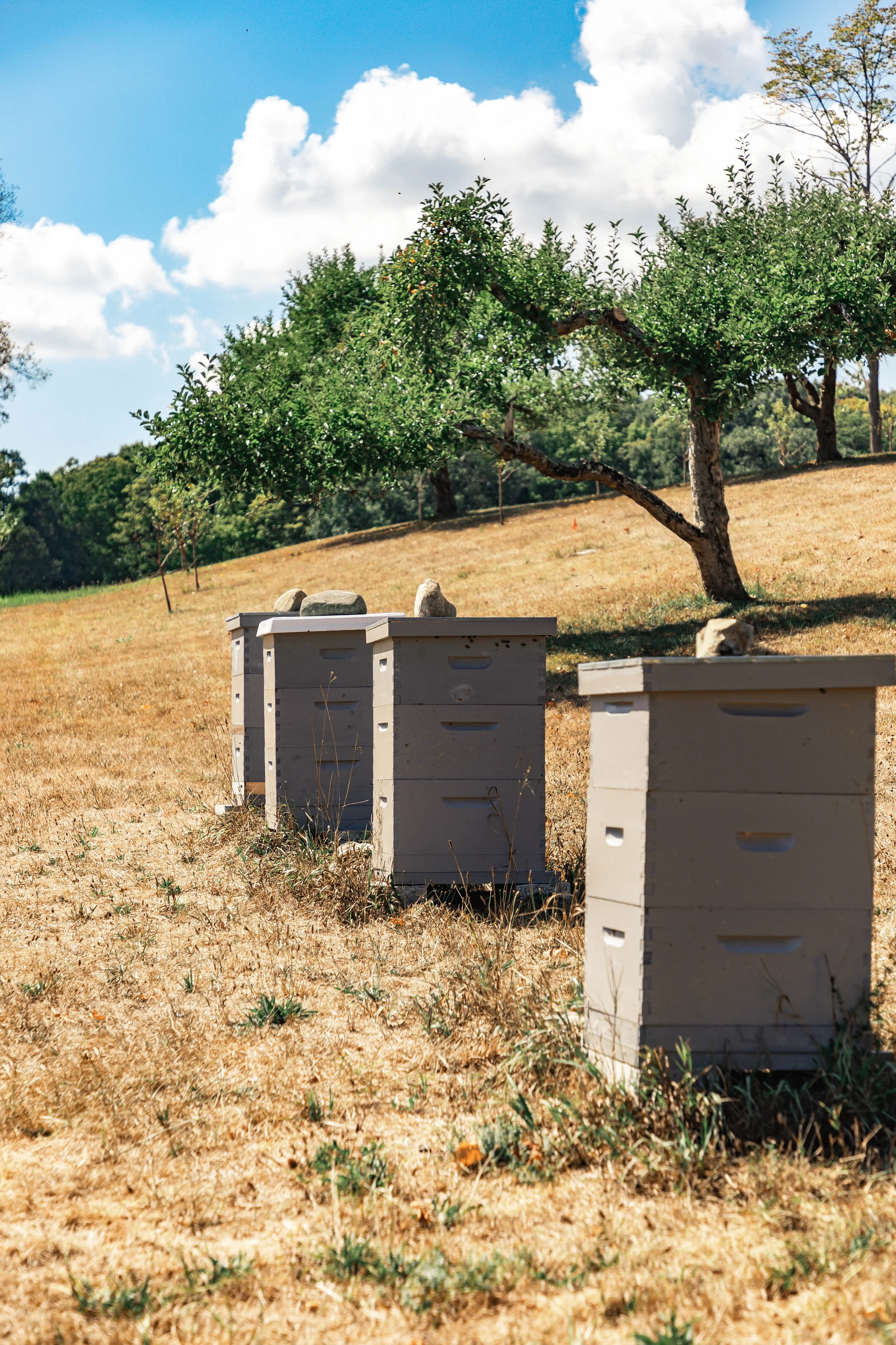 Provisions Meredith Farm Topsfield MA — Meredith Farm site