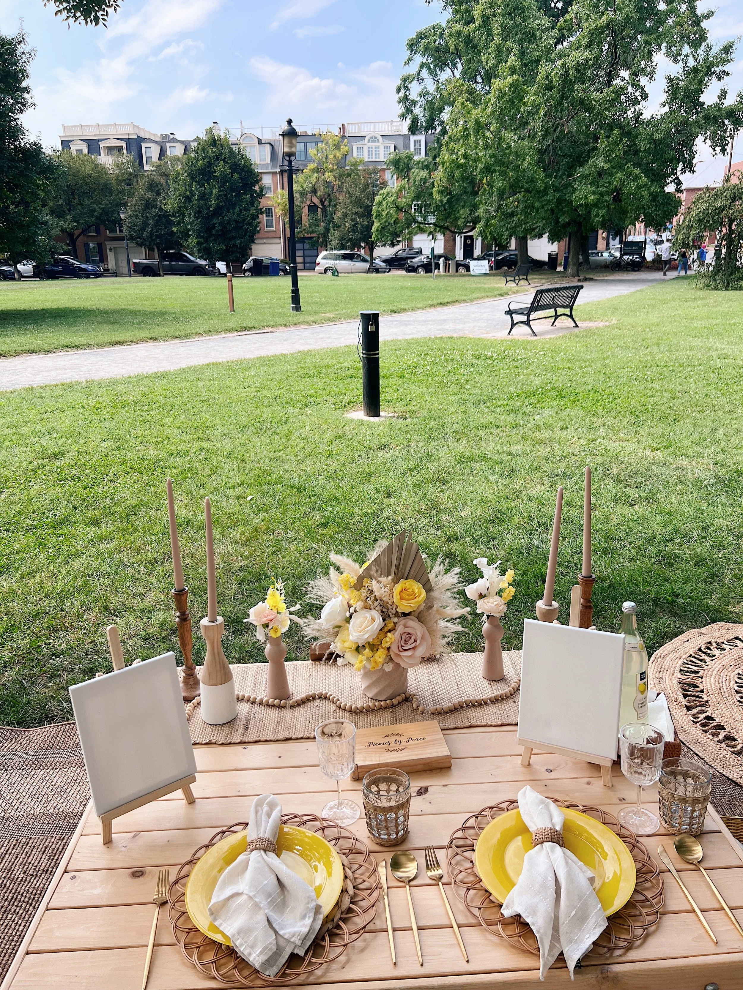 Luxury Picnic set up in Founder’s Park DC - designed by Picnics ny Peace