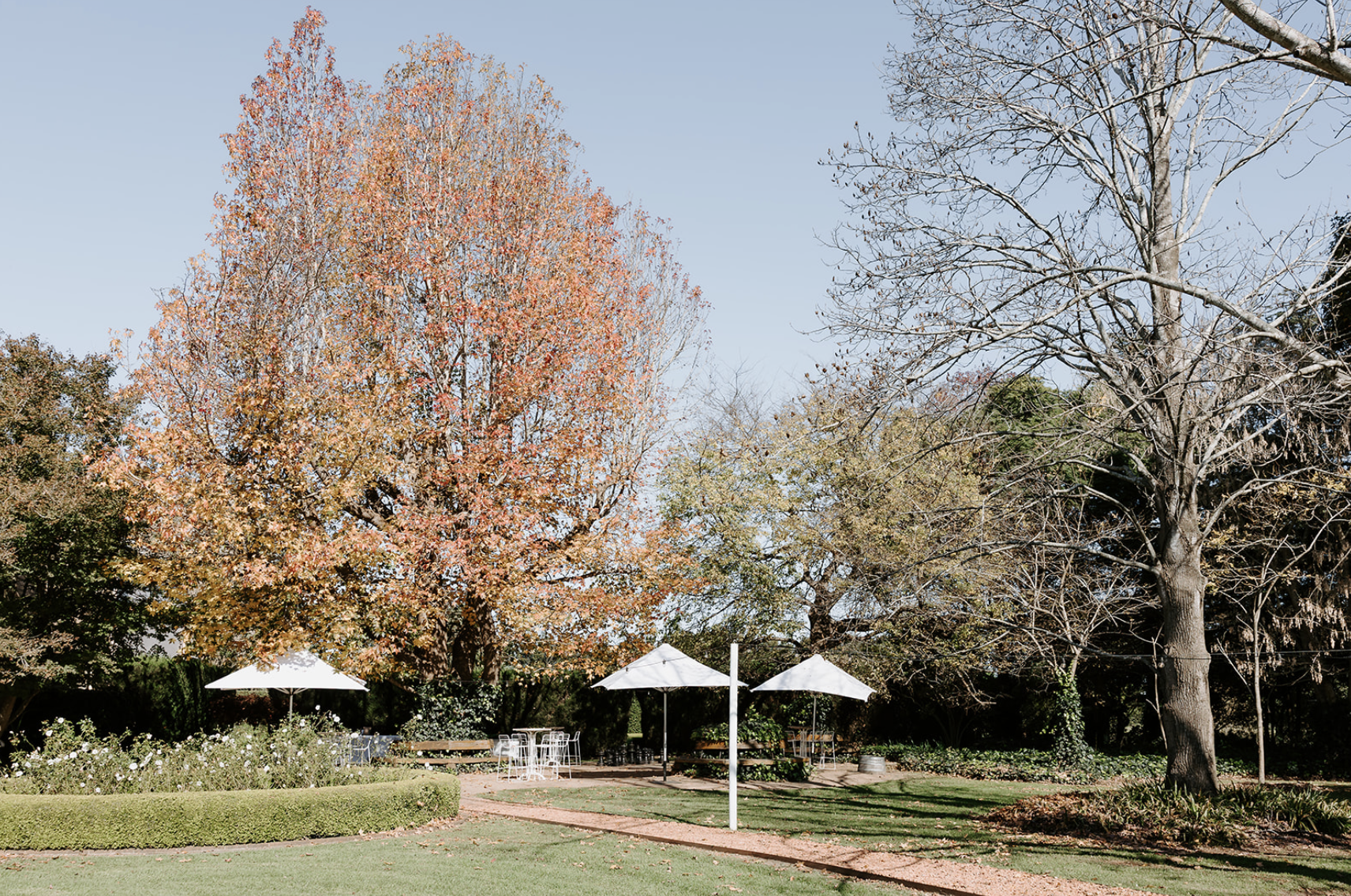 Screenshot 2026-02-24 at 9.03.15 PM.png