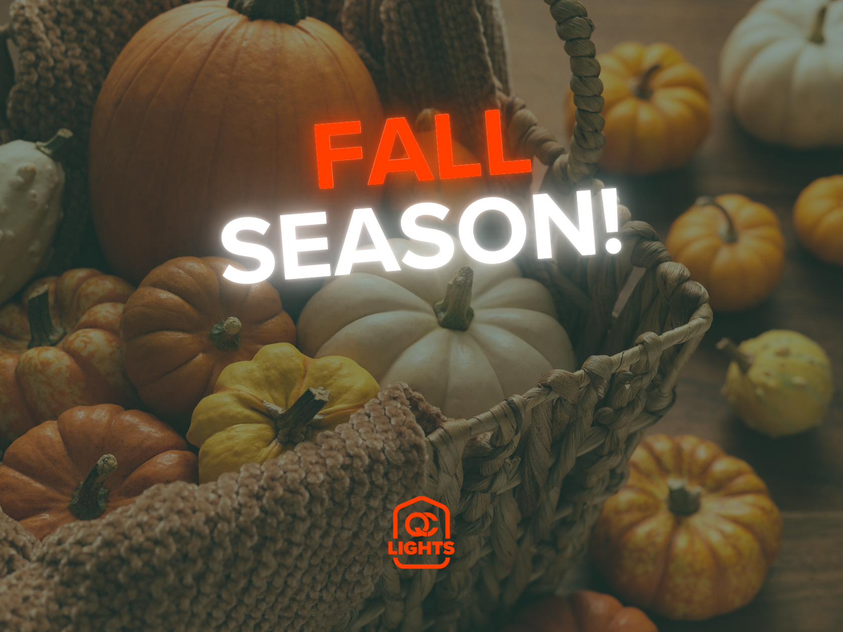 Ultimate Fall Guide for Iowa & Illinois: Pumpkin Patches, Apple Orchards & Cozy Seasonal Fun