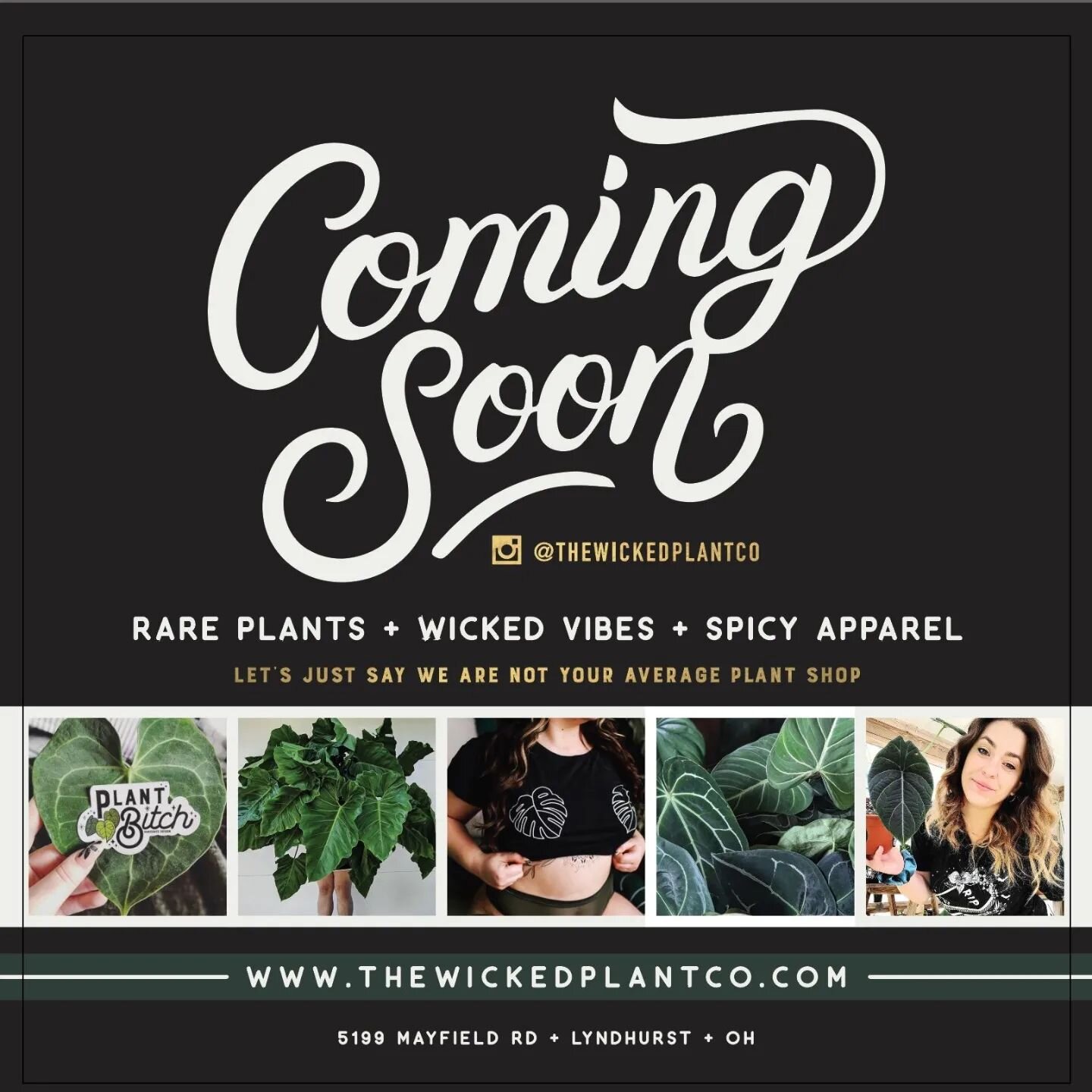 @variegatedesign &amp; I have some BIG news! Our shop will be open soon 🥳🌈🪴
Follow @thewickedplantco to find out all the details!!!

#shoplocal #lyndhurstohio #clevelandohio #plantshop #aroidaddicts #plantfriendsarethebestfriends #plantsmakepeople