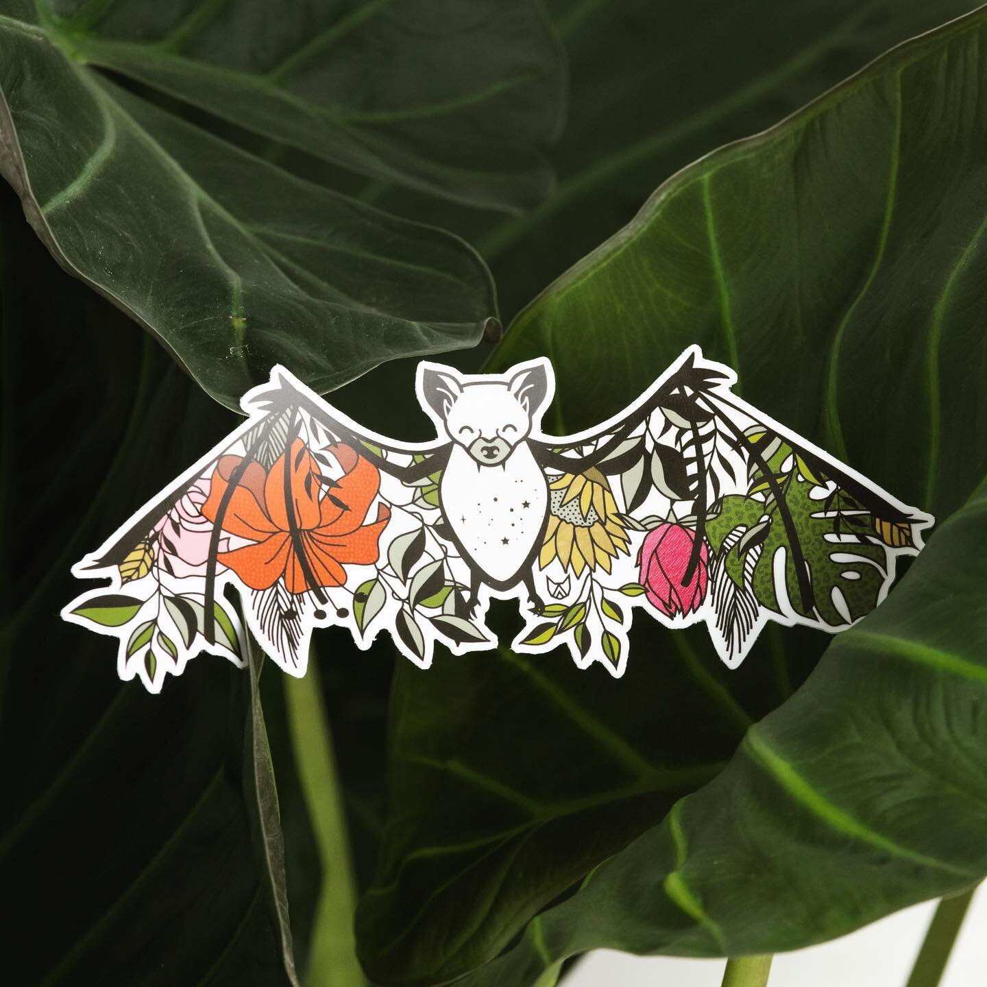 Just a friendly reminder as we scoot in spring/summer that bats are pollinators too! Be kind to these little cuties. They pollinate the flowers you like to watch grow all summer long. 🦇🖤🦇
&bull;
&bull;
&bull;
&bull;
&bull;
&bull;
#planttherapy #in
