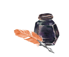 Terms and Conditions