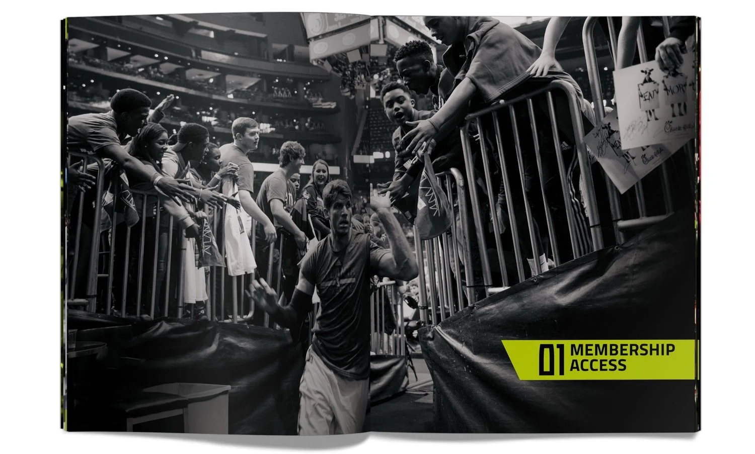 image-asset (5).jpeg