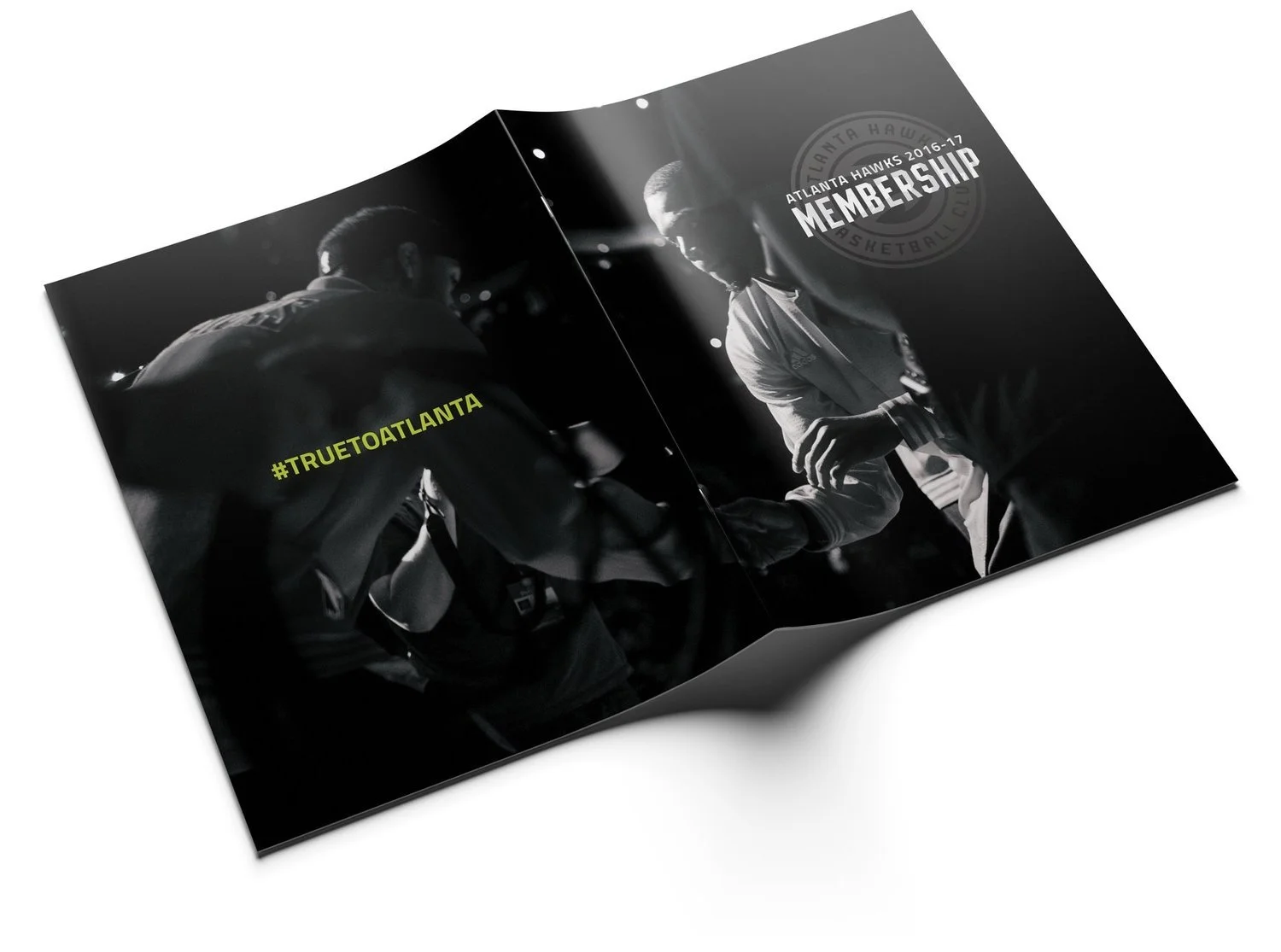 image-asset (11).jpeg