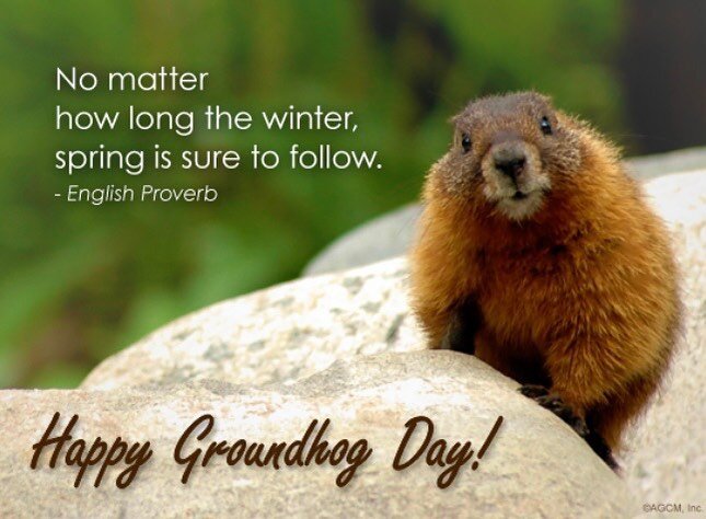 Happy Groundhog Day!! Spring is coming! 🌹🌸🌺🌷 #lawyersofinstagram #longislandattorneys #matrimonialattorney #familylawattorney #criminaldefenseattorney #toplawfirms #bettercallcharo #groundhogday #matrimonialattorney #realestateattorney #familylaw