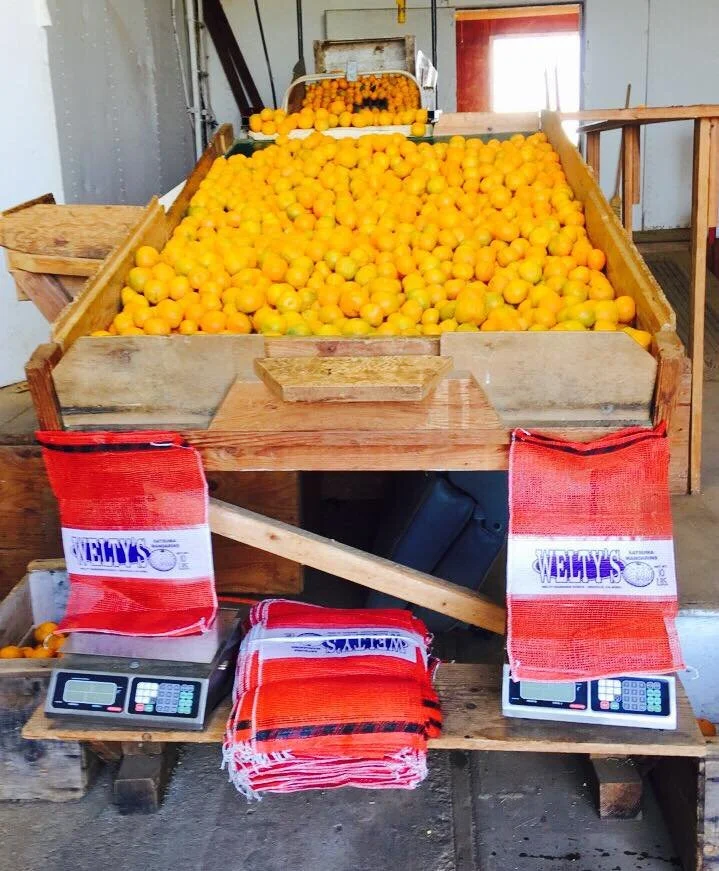 packing shed.jpg