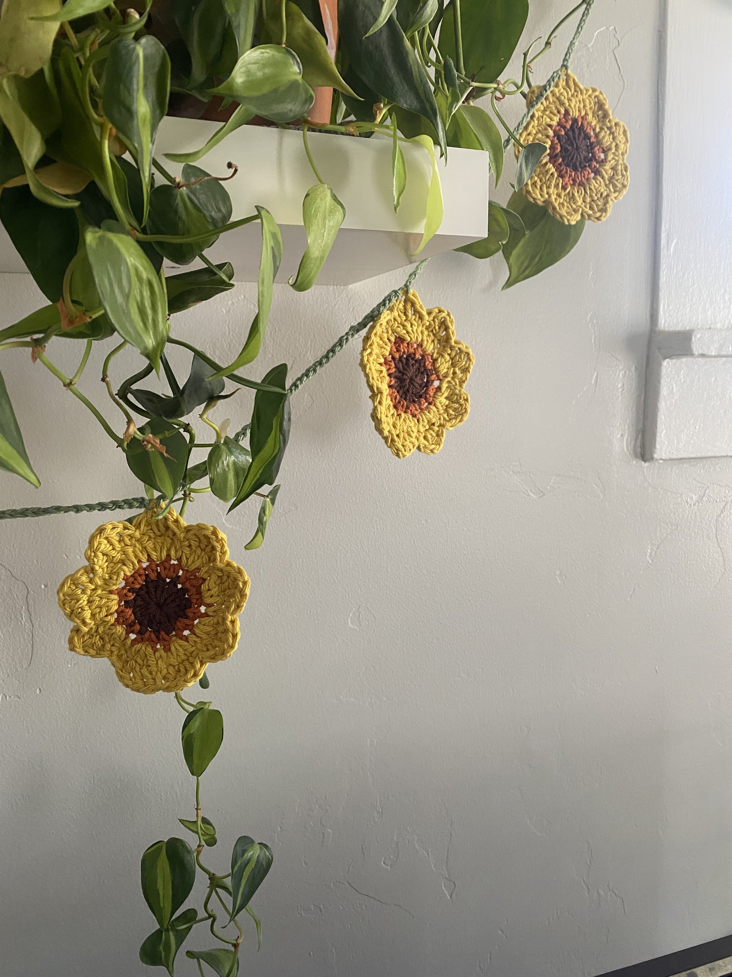 B556215B-AB65-42FF-9813-915724E2E9DB.jpeg