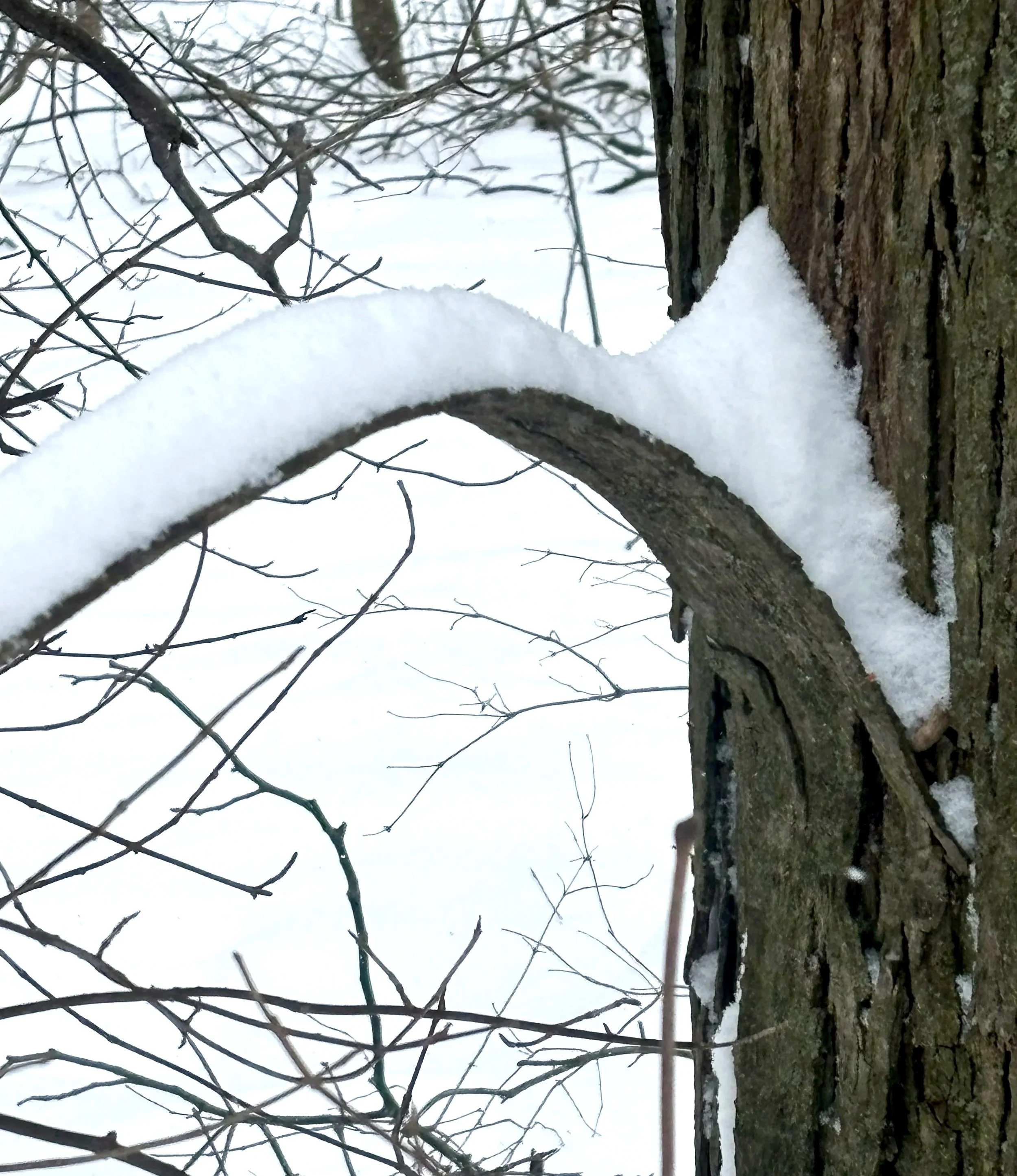 Are you in a season of breaking? 