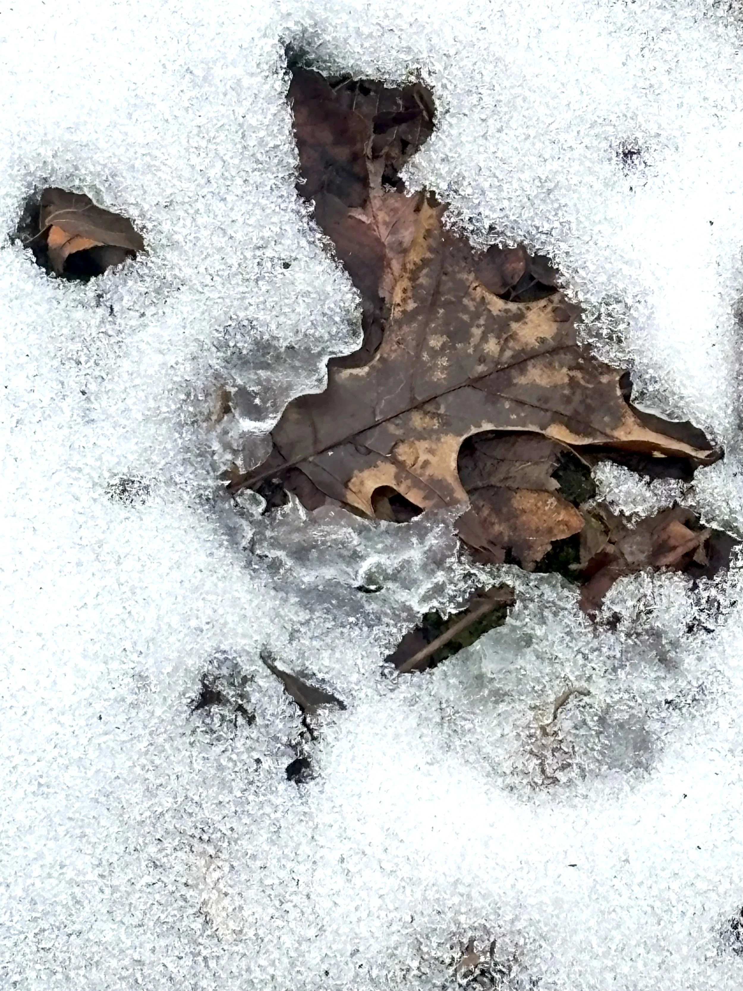 What Olympians have uncovered about mindfulness.&nbsp;