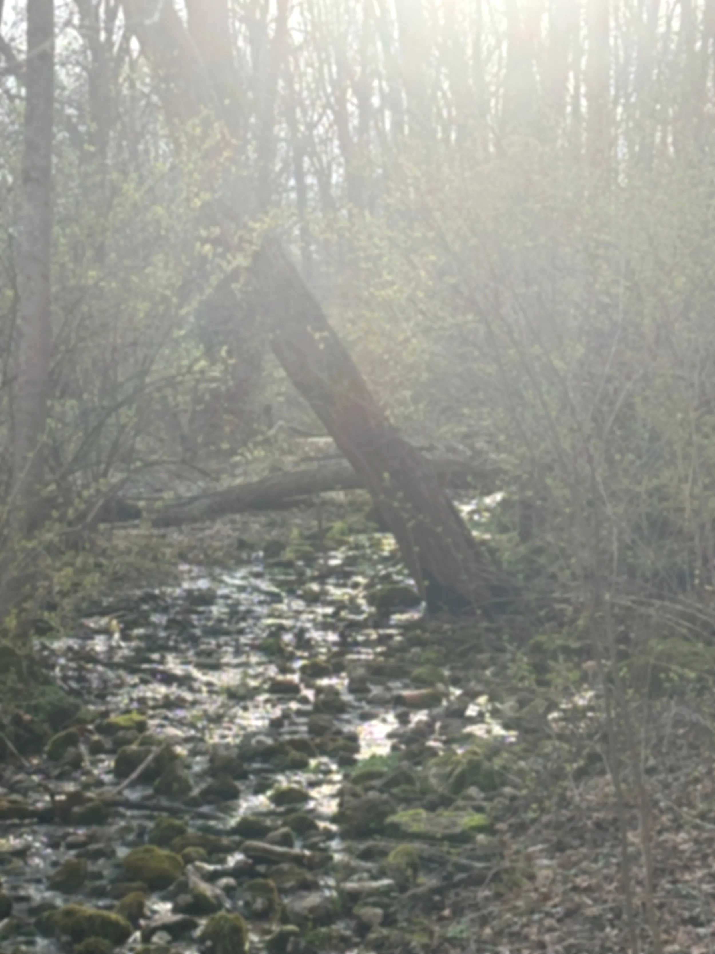 How did the French Fry become Mindful? (A technique, not a joke.) 