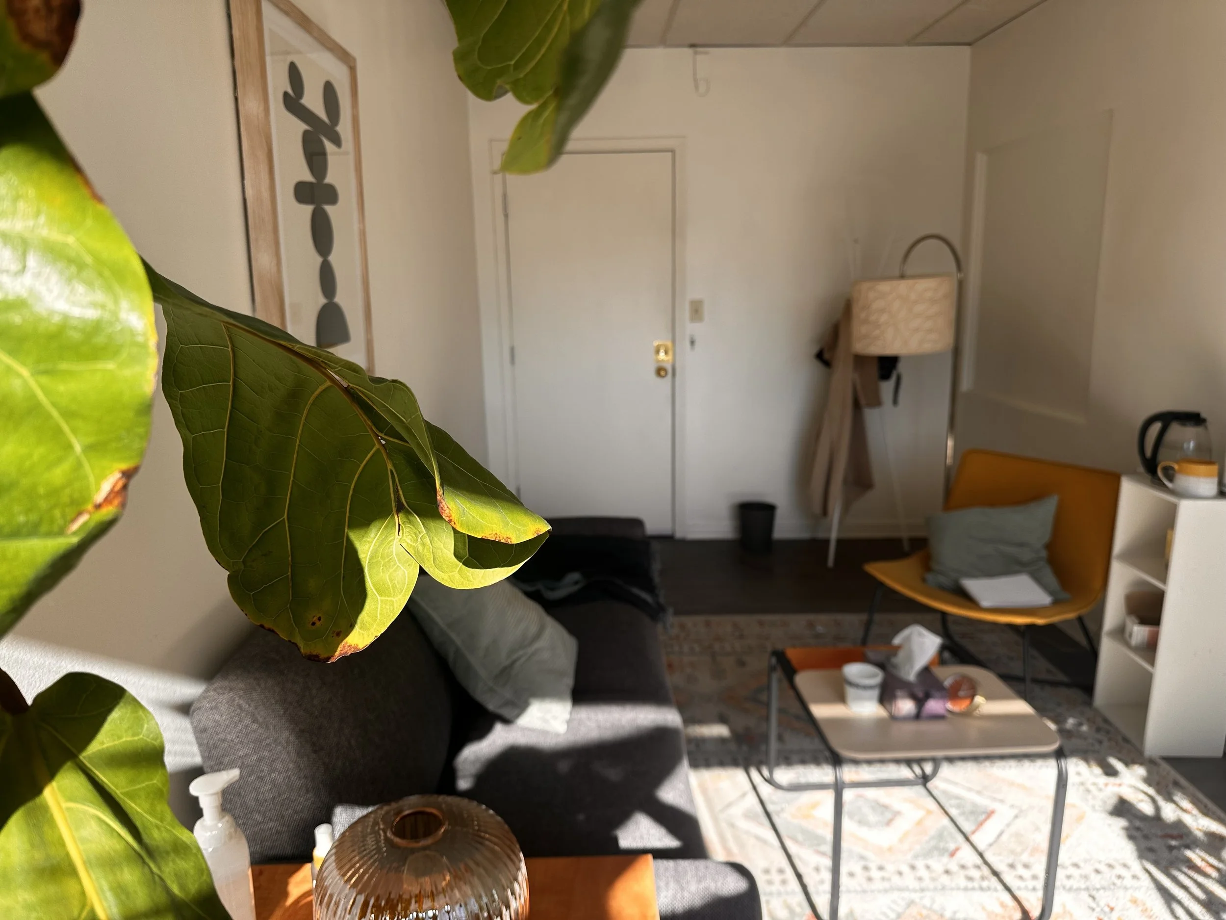 Fairview Vancouver Therapy Registered Clinical counsellor