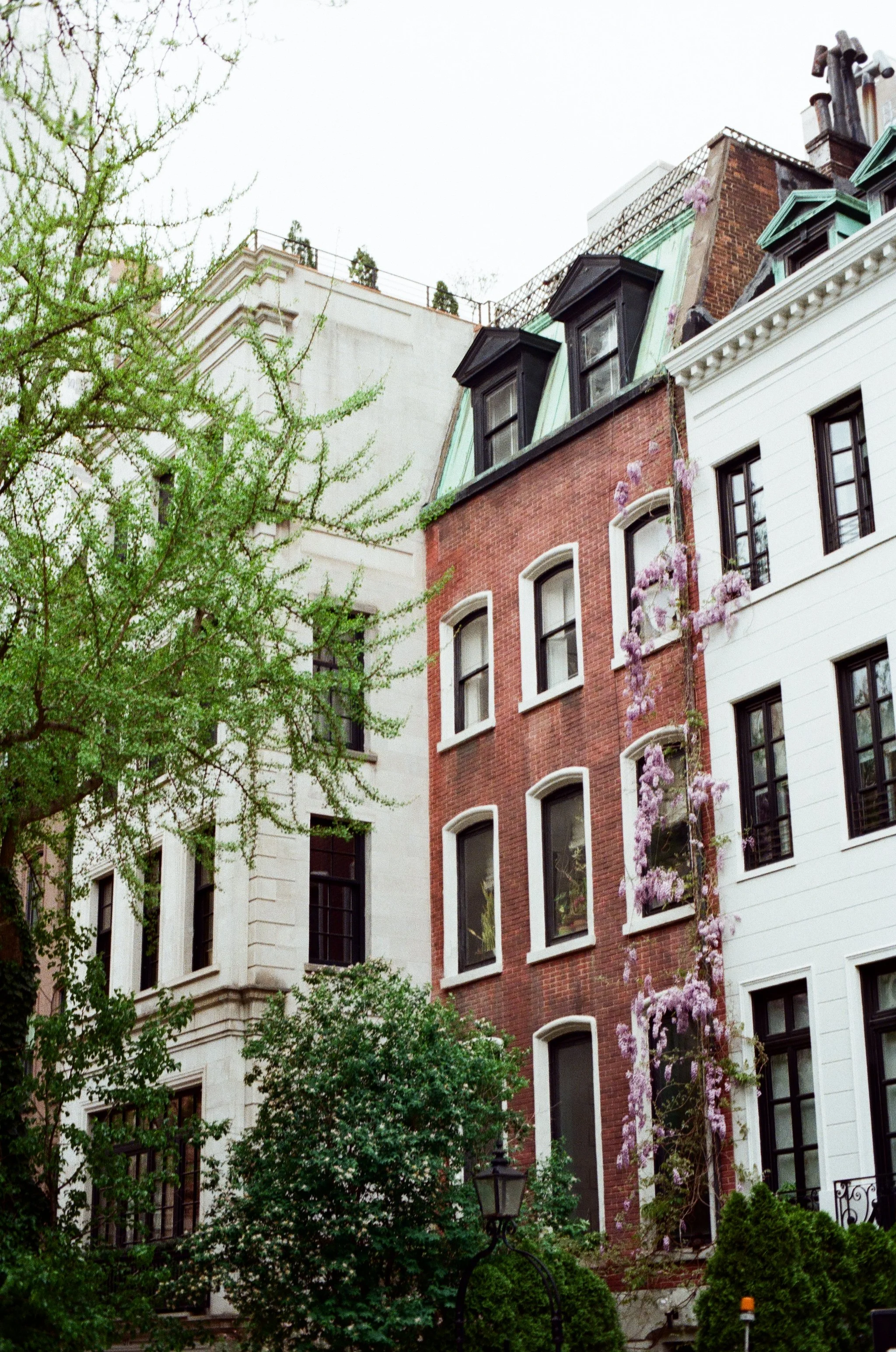 35mm Film Roll VIII