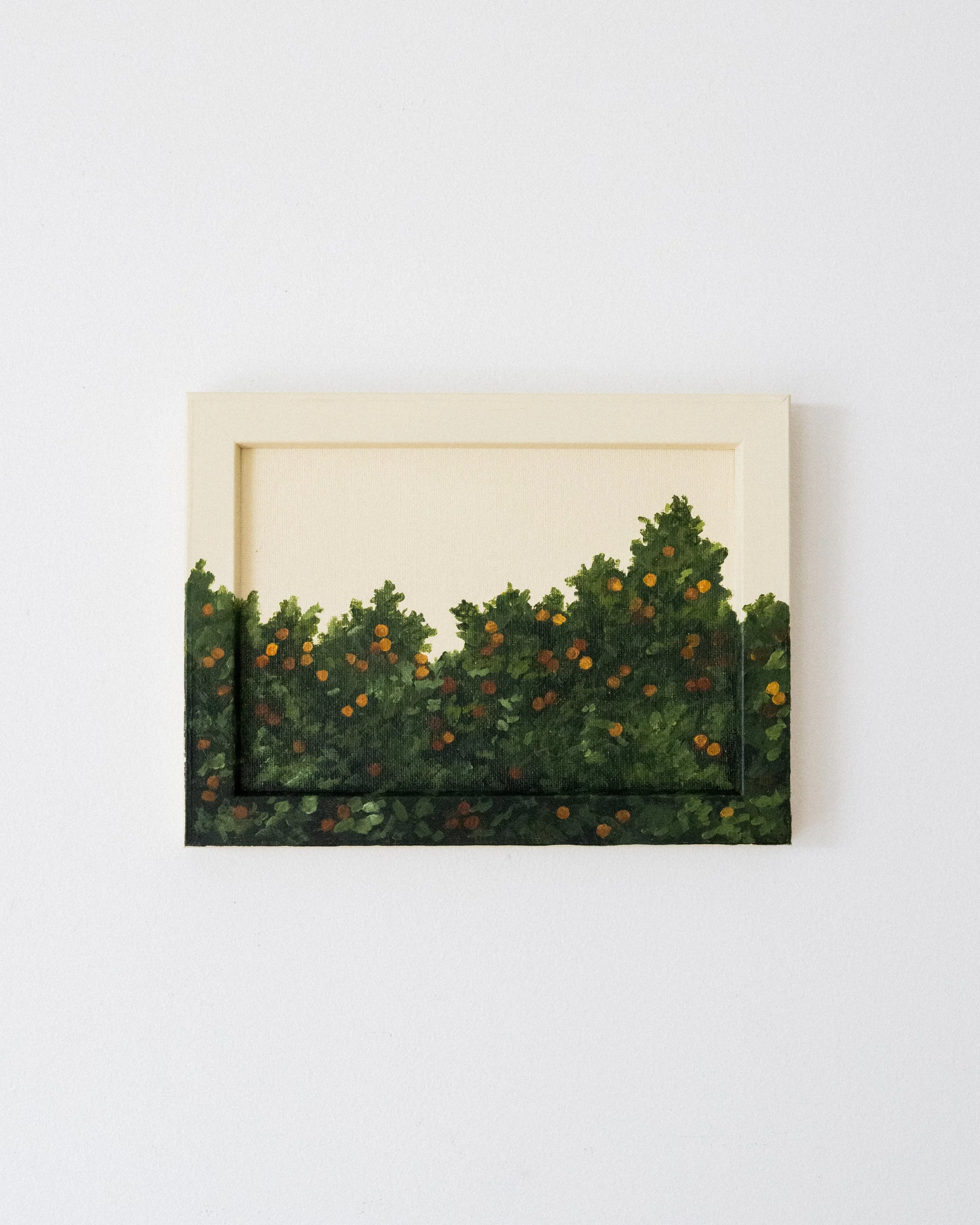 CitrusIII.jpg