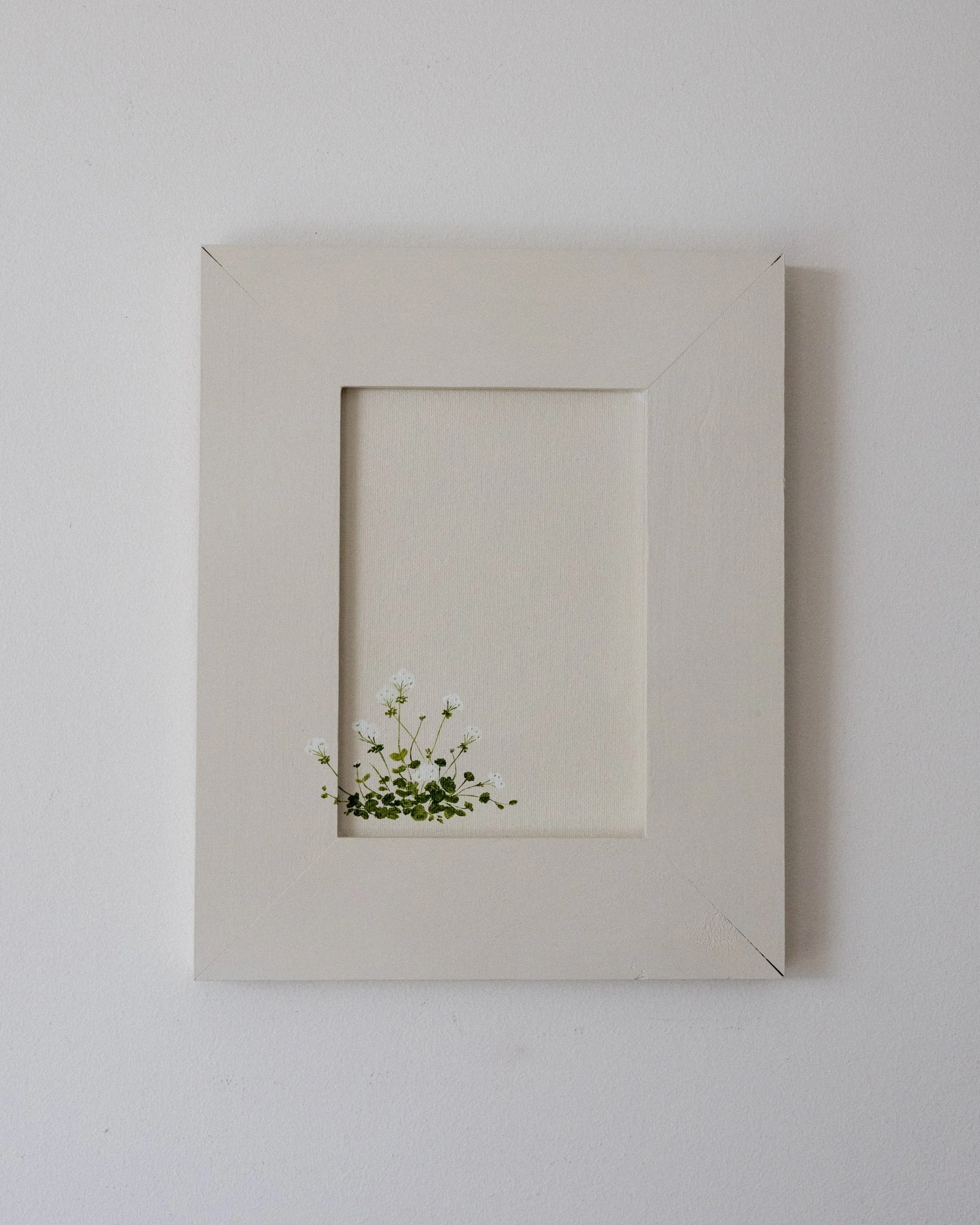 Geranium.jpg