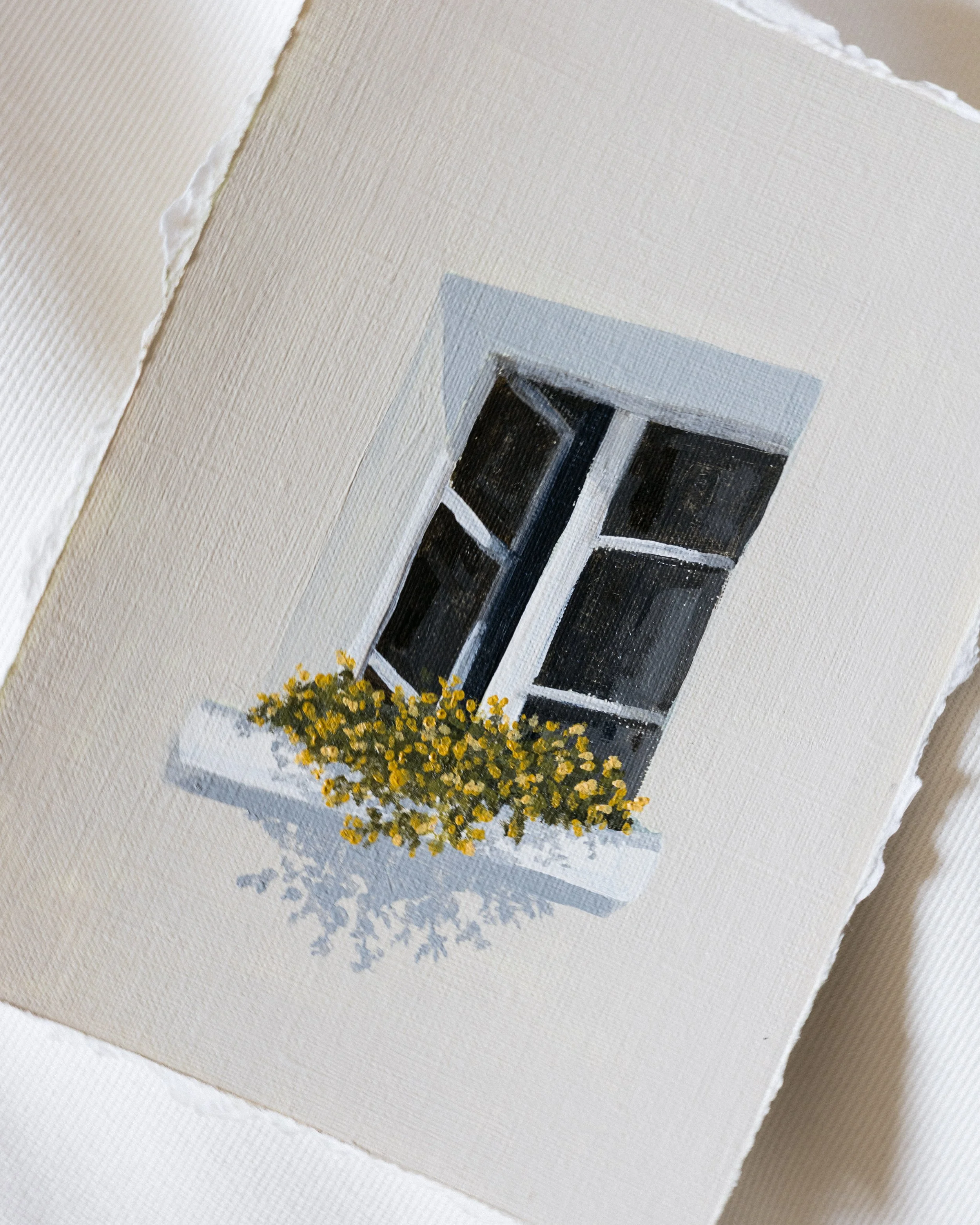 Windows No.5 C.jpg