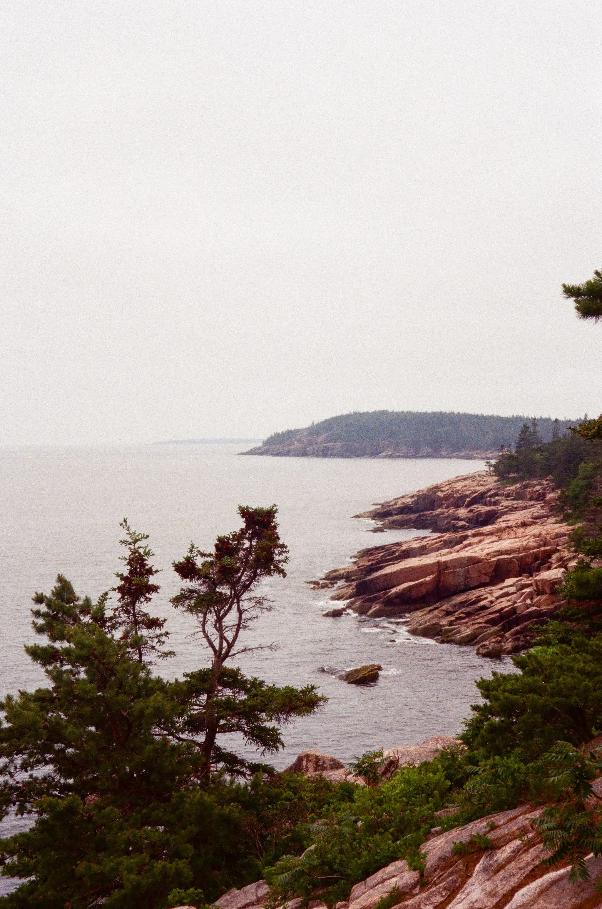 Maine Edited 1-5.jpg