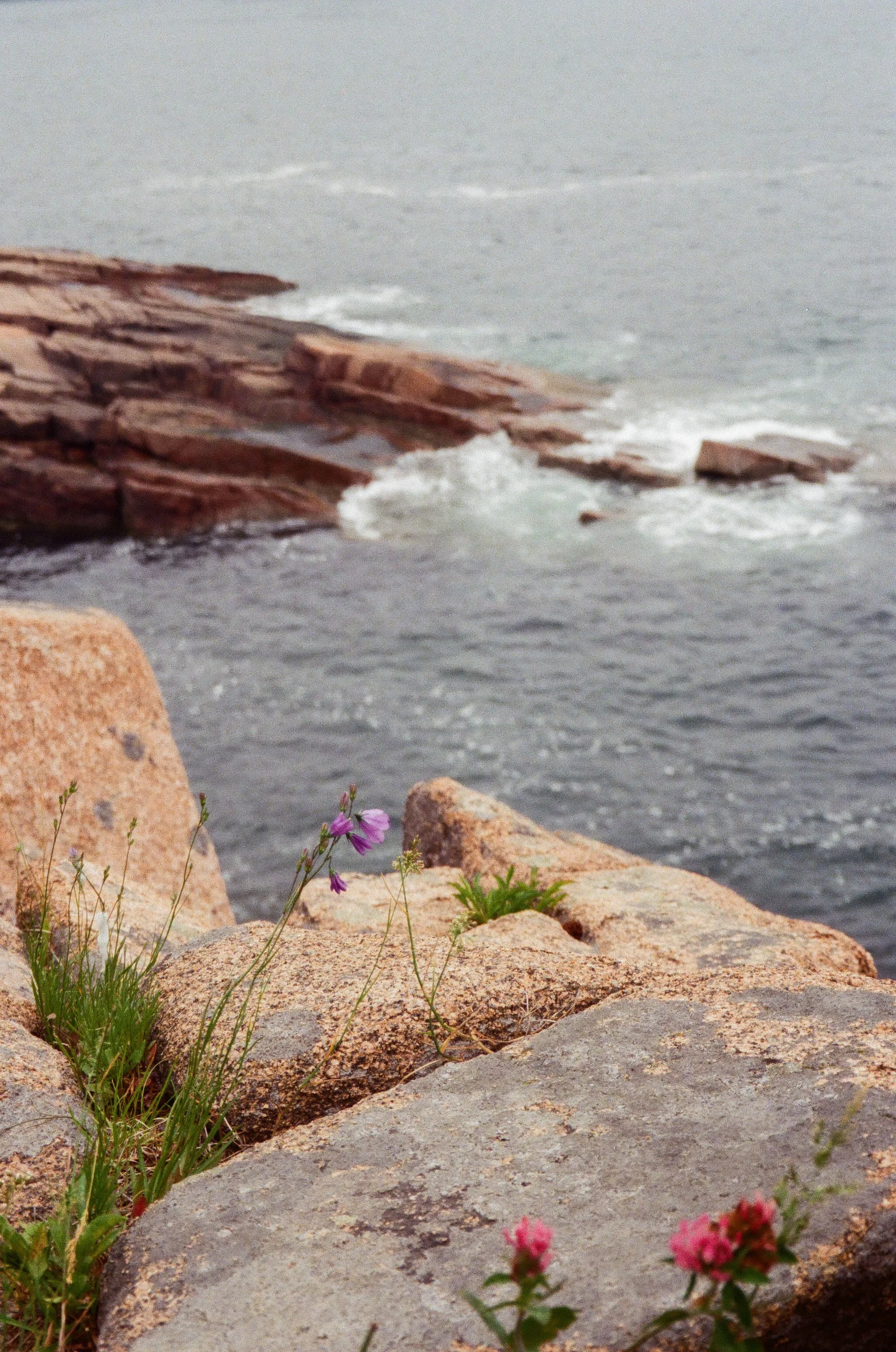Maine Edited 1-10.jpg