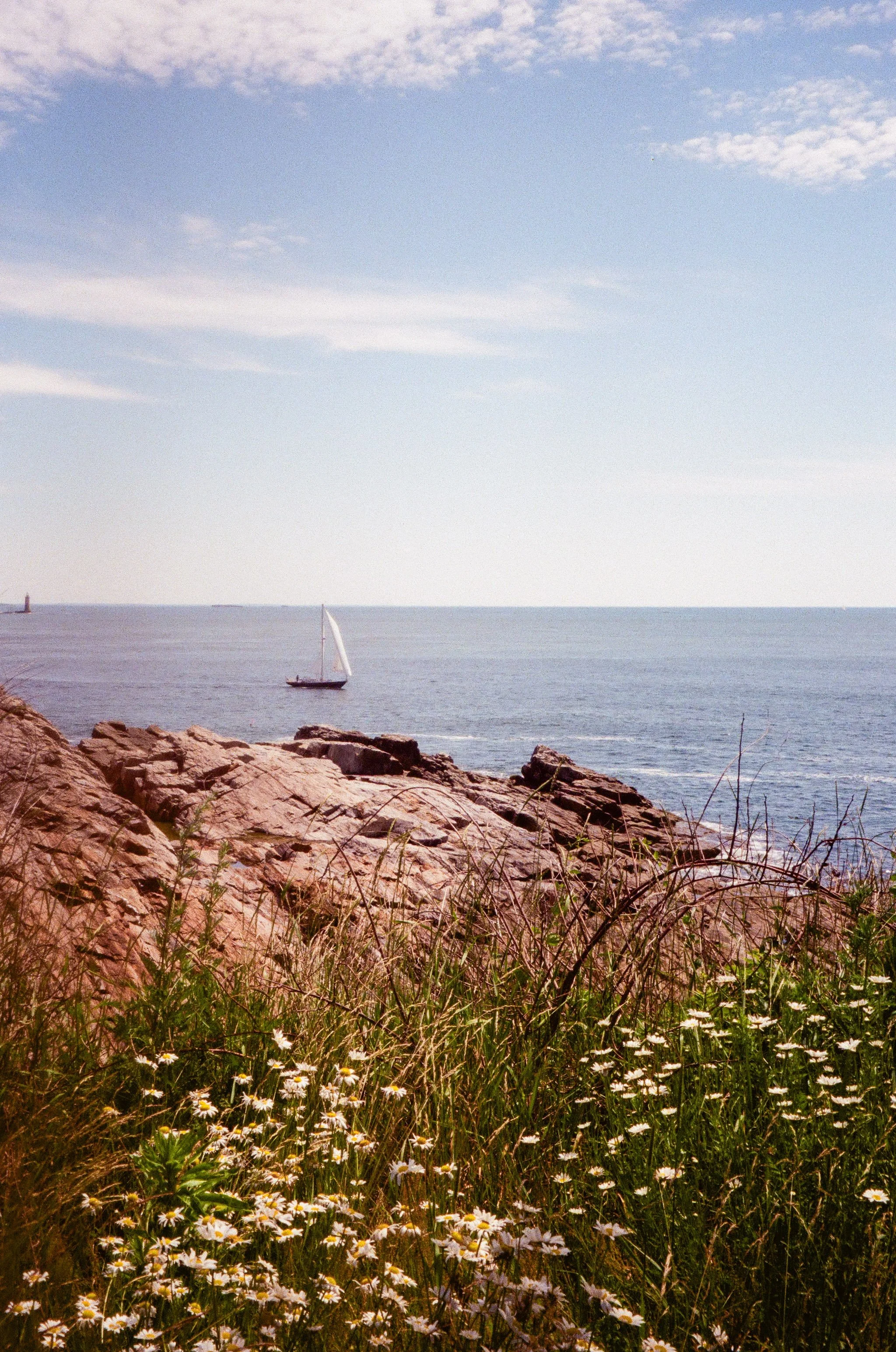 Maine Edited 1-15.jpg