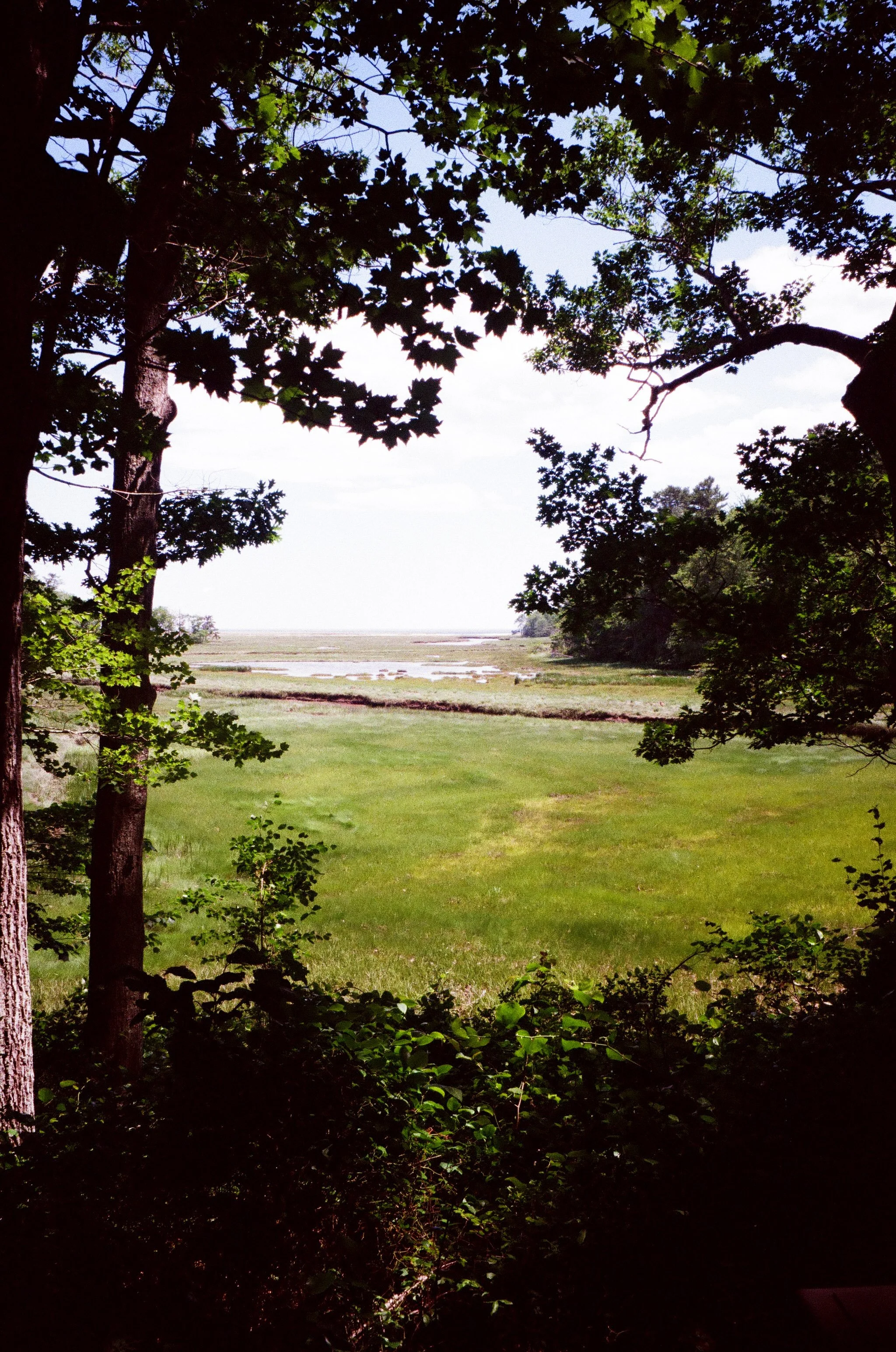 Maine Edited 1-18.jpg