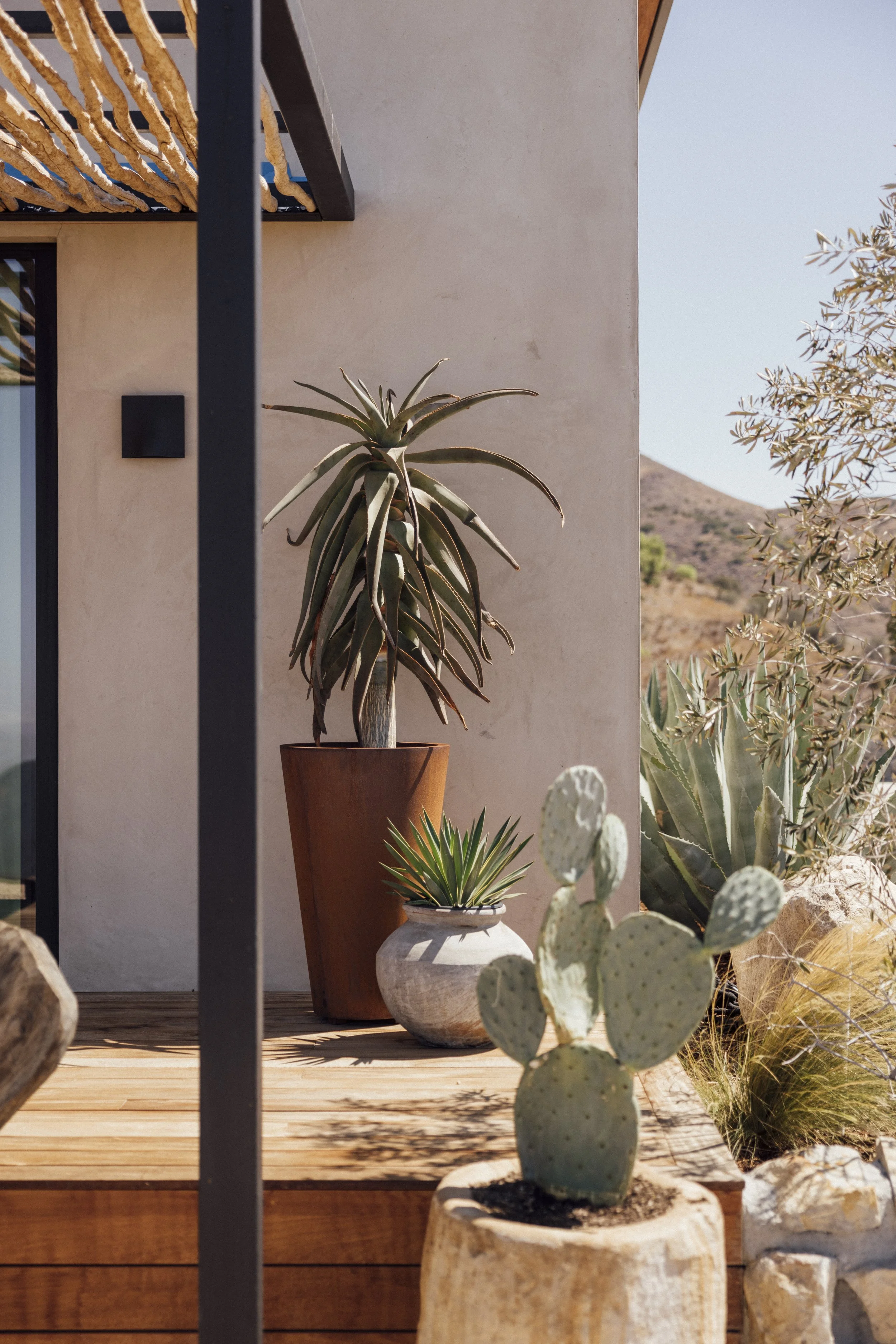 Agave House, Malibu — photo 4