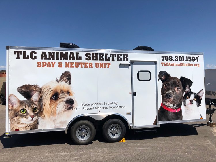 Spay Neuter Information — Tender Loving Care Animal Shelter Spay Neuter Information — Tender Loving Care Animal Shelter