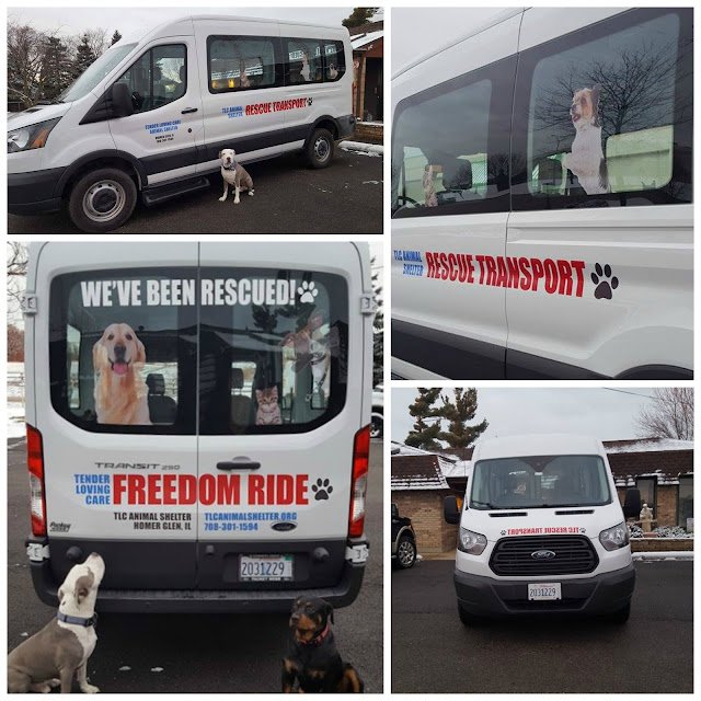 Please donate to theFreedom Ride — Tender Loving Care Animal Shelter