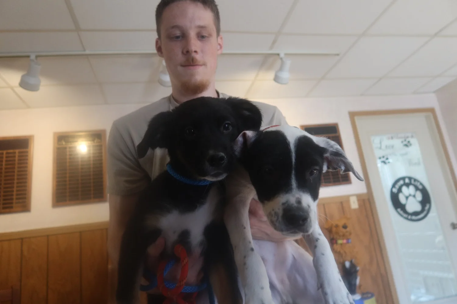 Tender Loving Care Animal Shelter