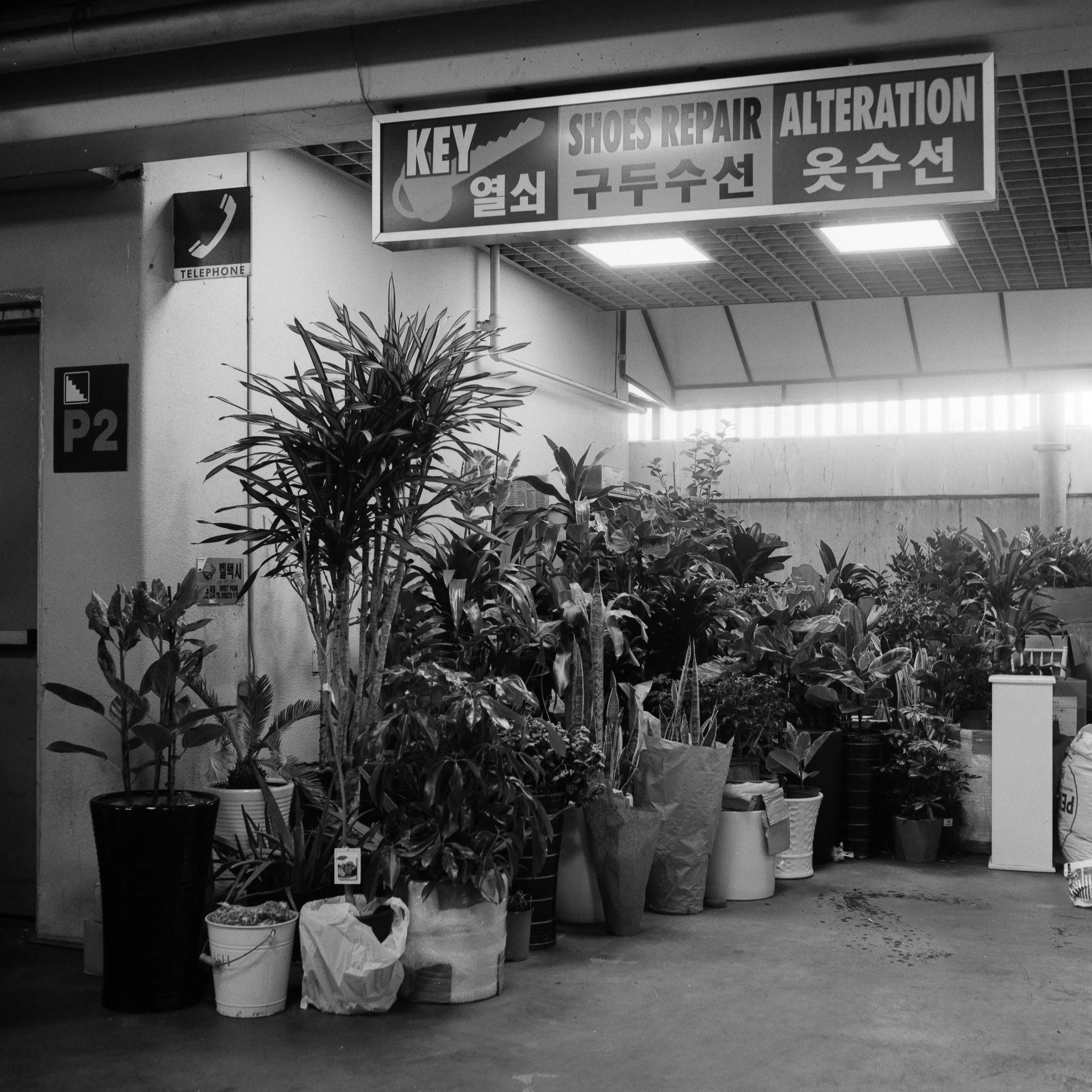 Koreatown.jpg