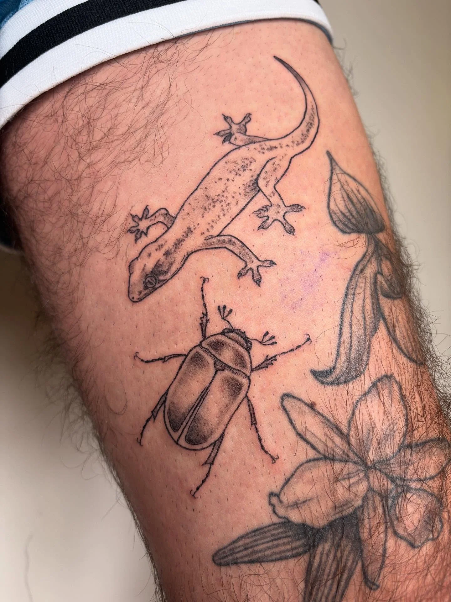 Common house gecko, may beetle, and cherries for @_brandon.alejandro &lsquo;s leg sleeve in progress! All other healed tattoos pictured also by me 💖 

#latattoo #geckotattoo #beetletattoo #cherrytattoo #illustrationtattoo