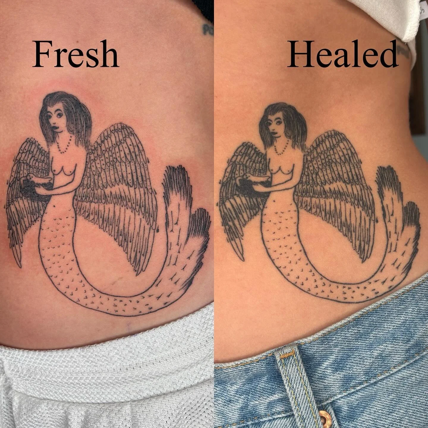 2 months healed on Molli! Mermaid with her ghost of an owl ! From a Win Ng illustration reference ! 

#tattoola #healedtattoo #freshvshealed #mermaidtattoo