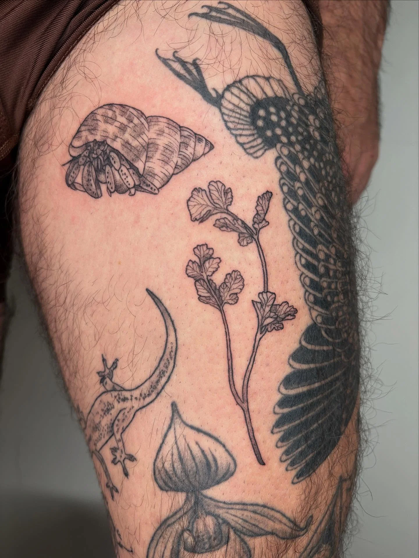 Another lil session of gap fillers for Brandon 💖 this leg is turning out so fun! 

#legsleeve #gapfiller #tattoo #cilantrotattoo #hermitcrabtattoo