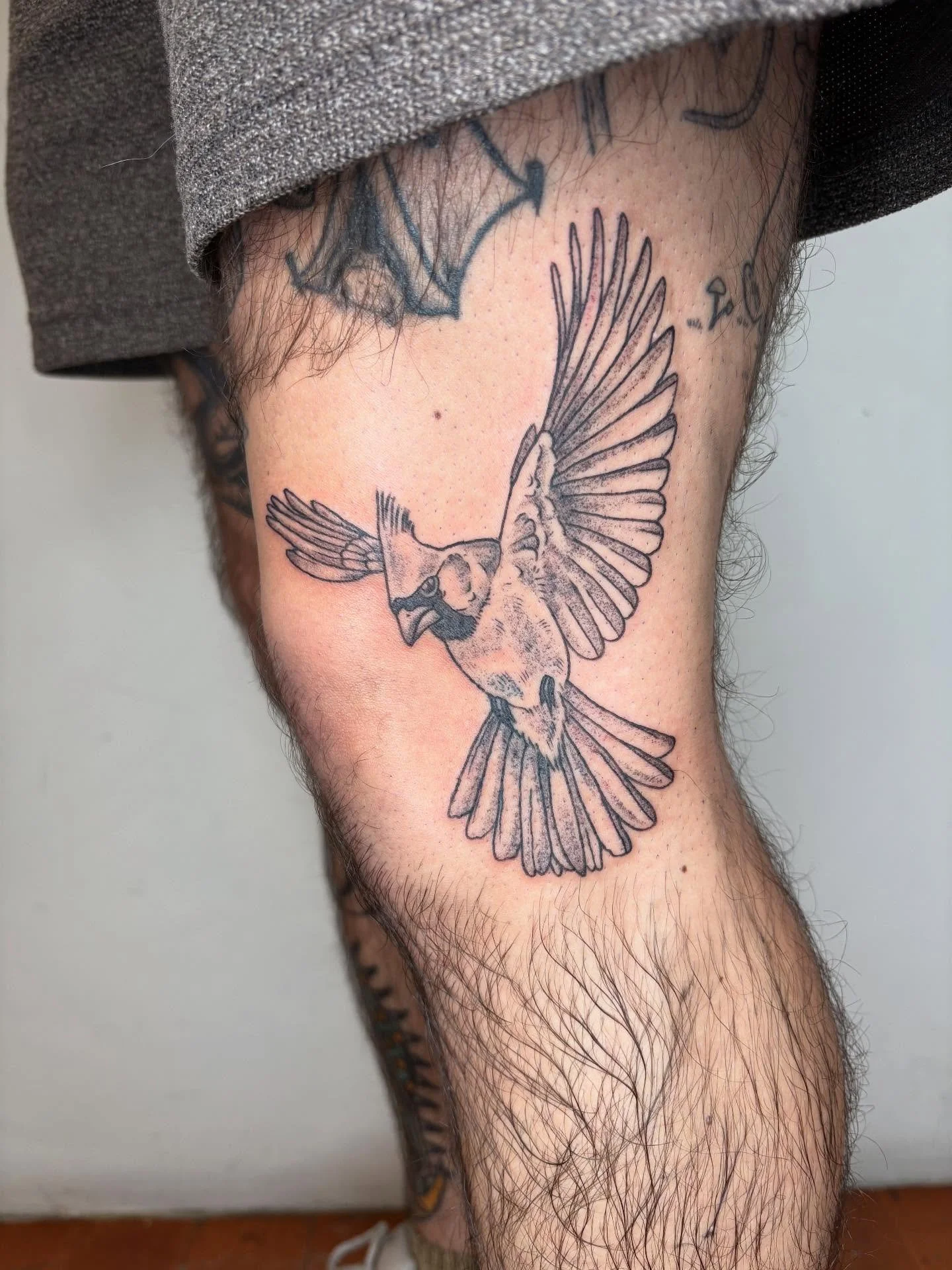 cardinal for Brandon&rsquo;s leg sleeve!!! And a bunch of healed work ❤️