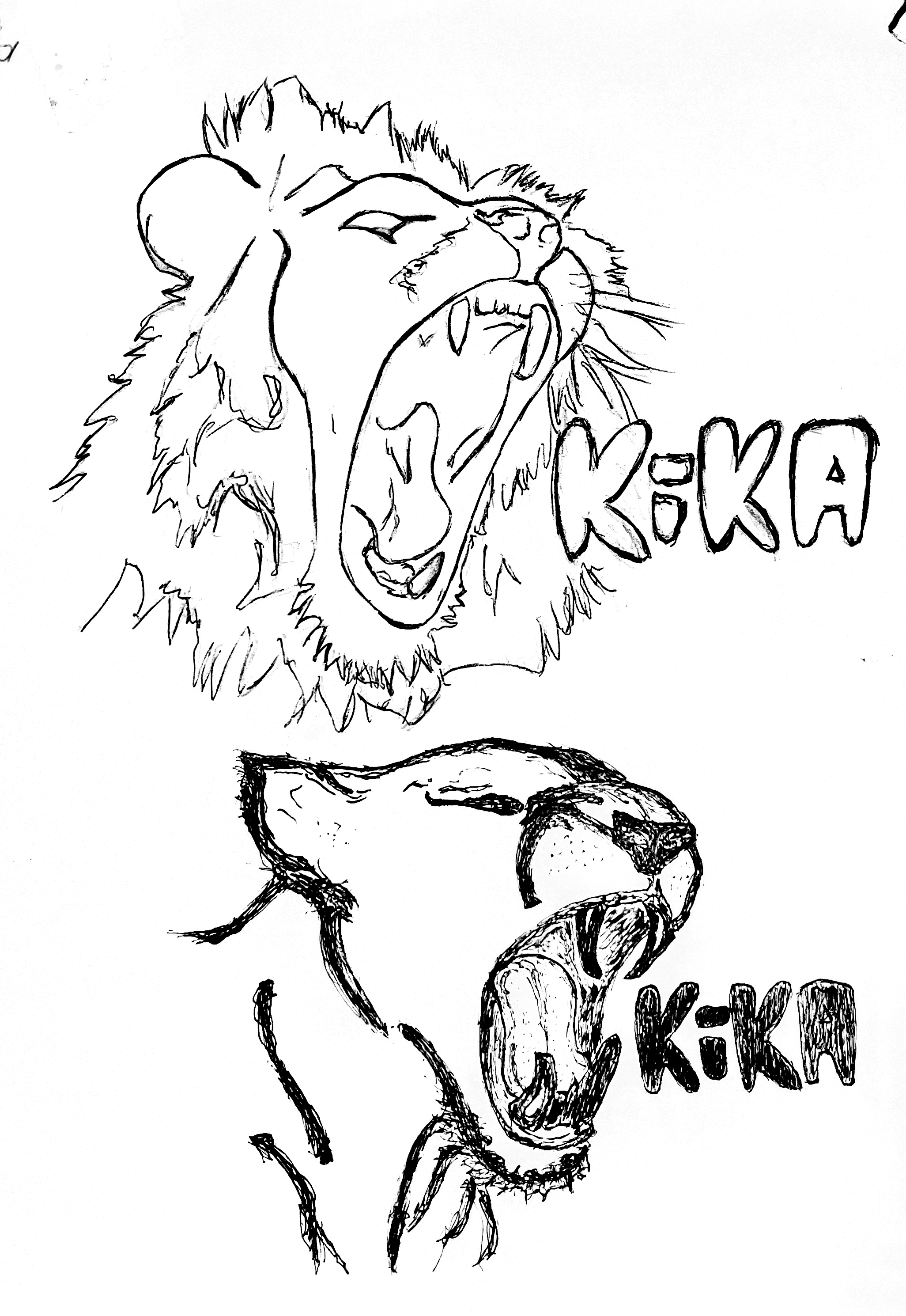 IMG_3181.png