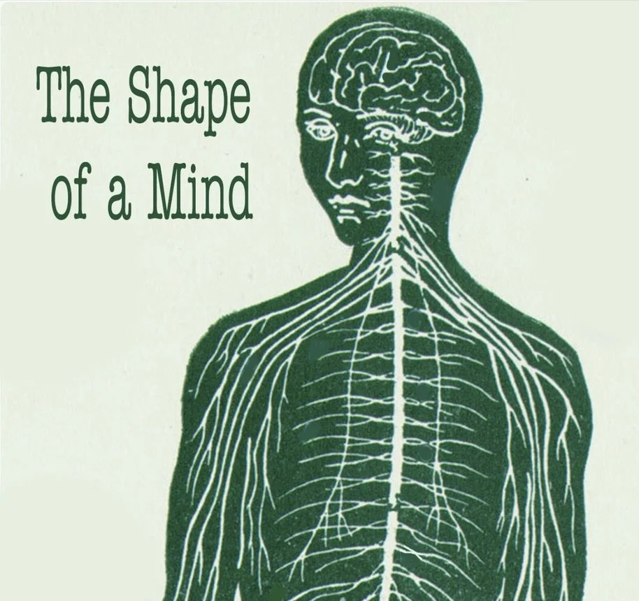 The Shape of a Mind