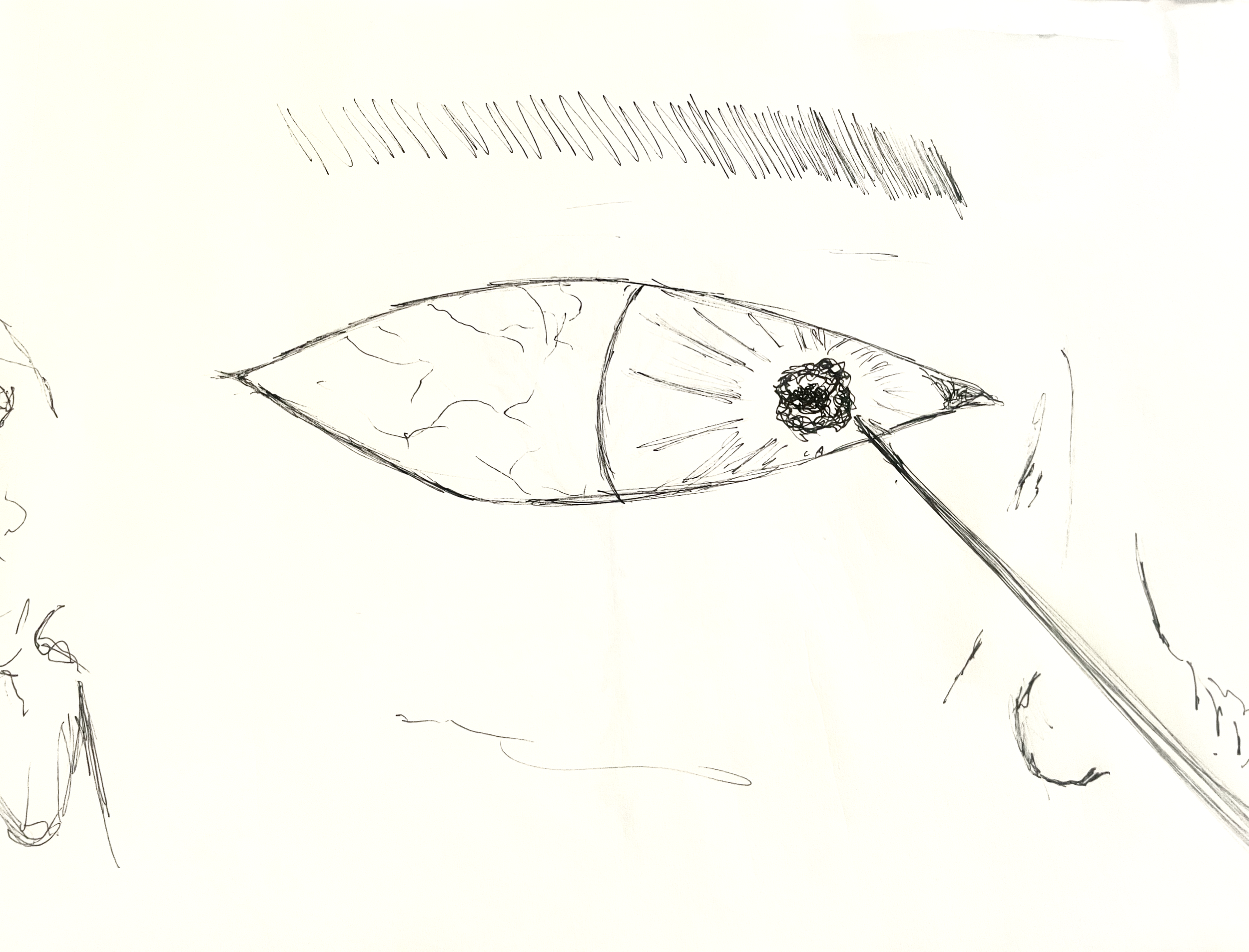 IMG_8584.png