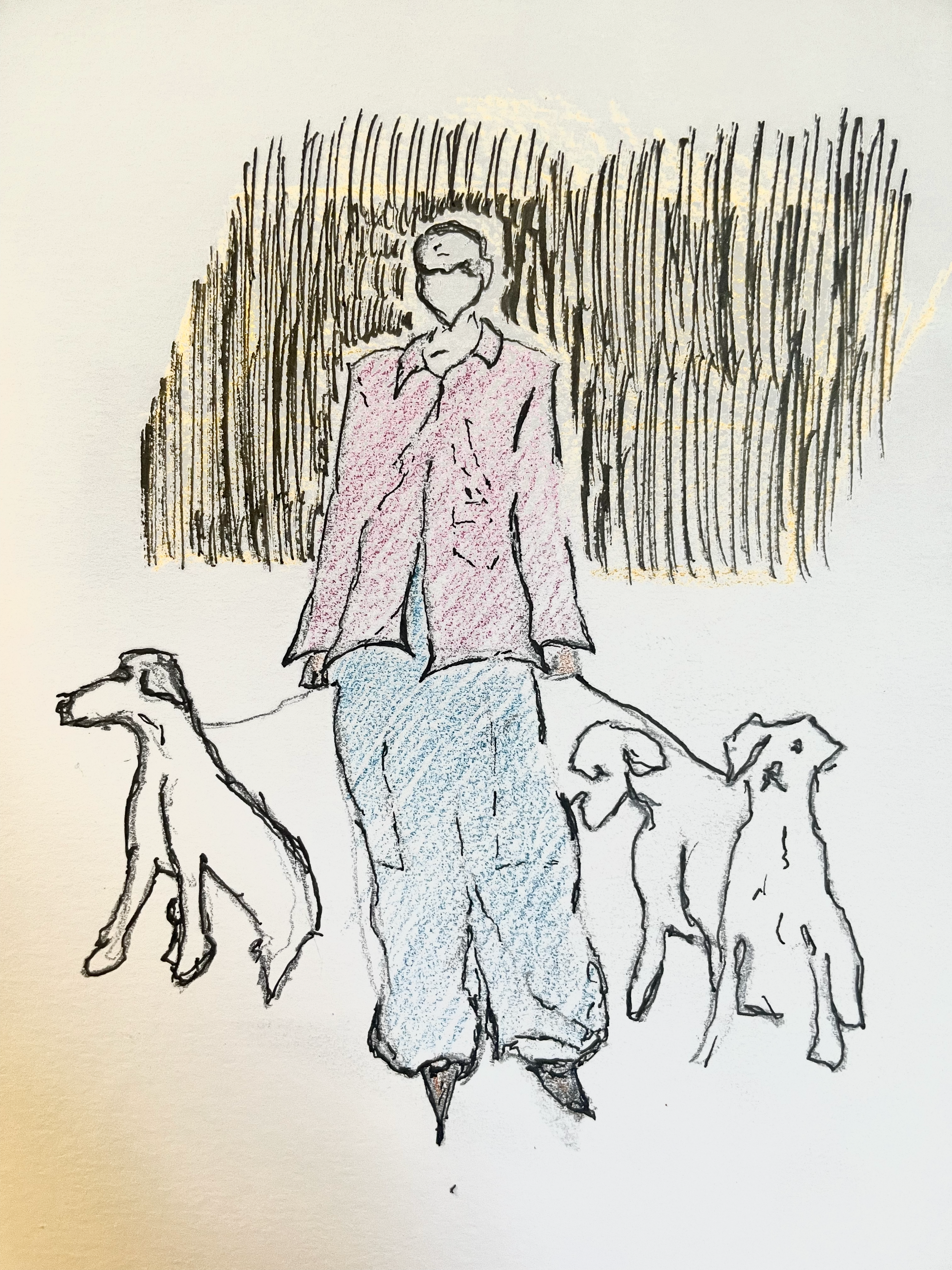 IMG_8499.png